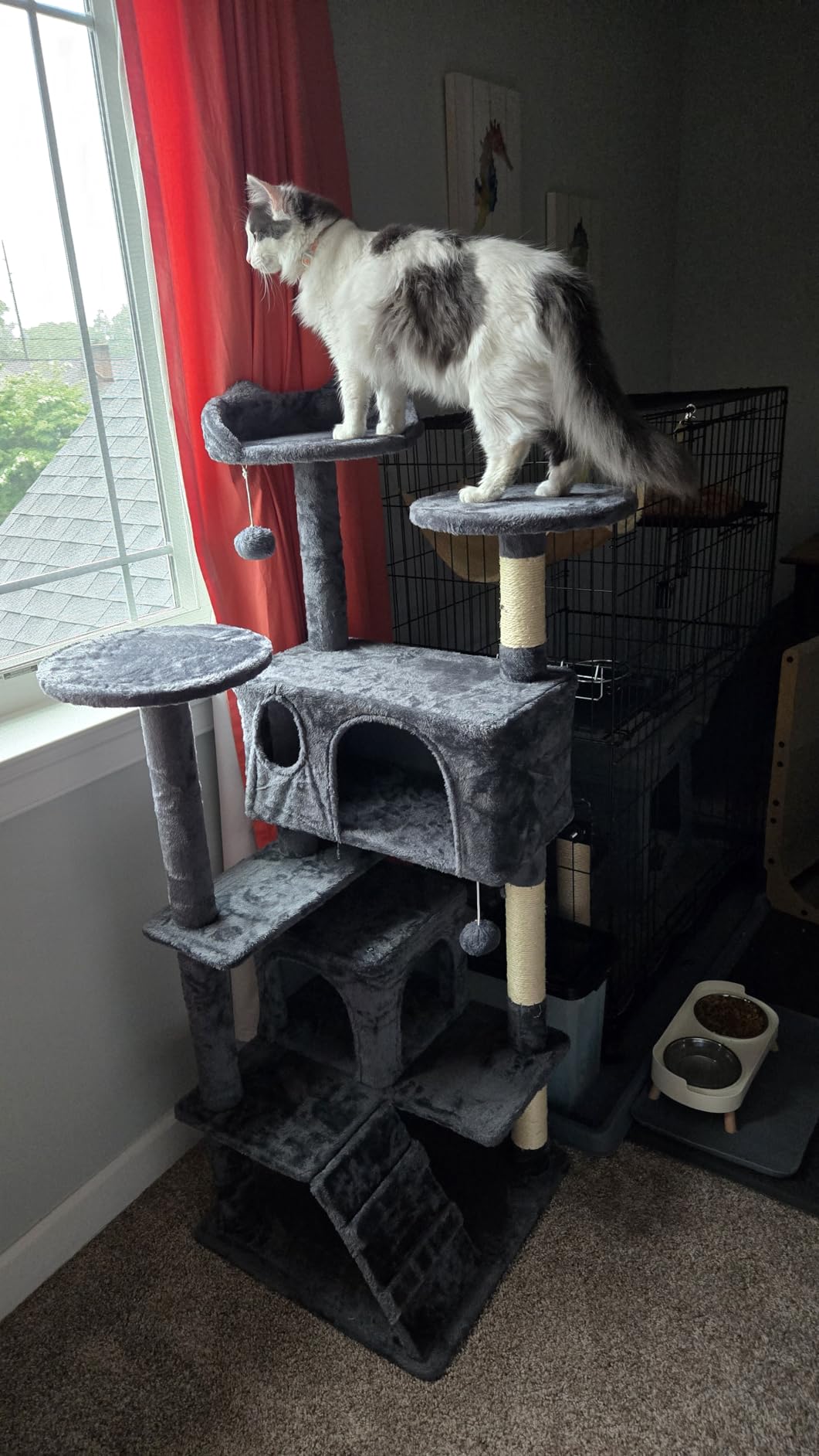 Yaheetech 54in Cat Tree, Multi-Level Cat Tower with Spacious Kitten-ear Perch, 2 Cozy Caves, Scratching Posts, Climbing Ladder, 2 Plush Balls, Durable Pet House Furniture for Indoor Kittens, Dark Gray customer photo 2