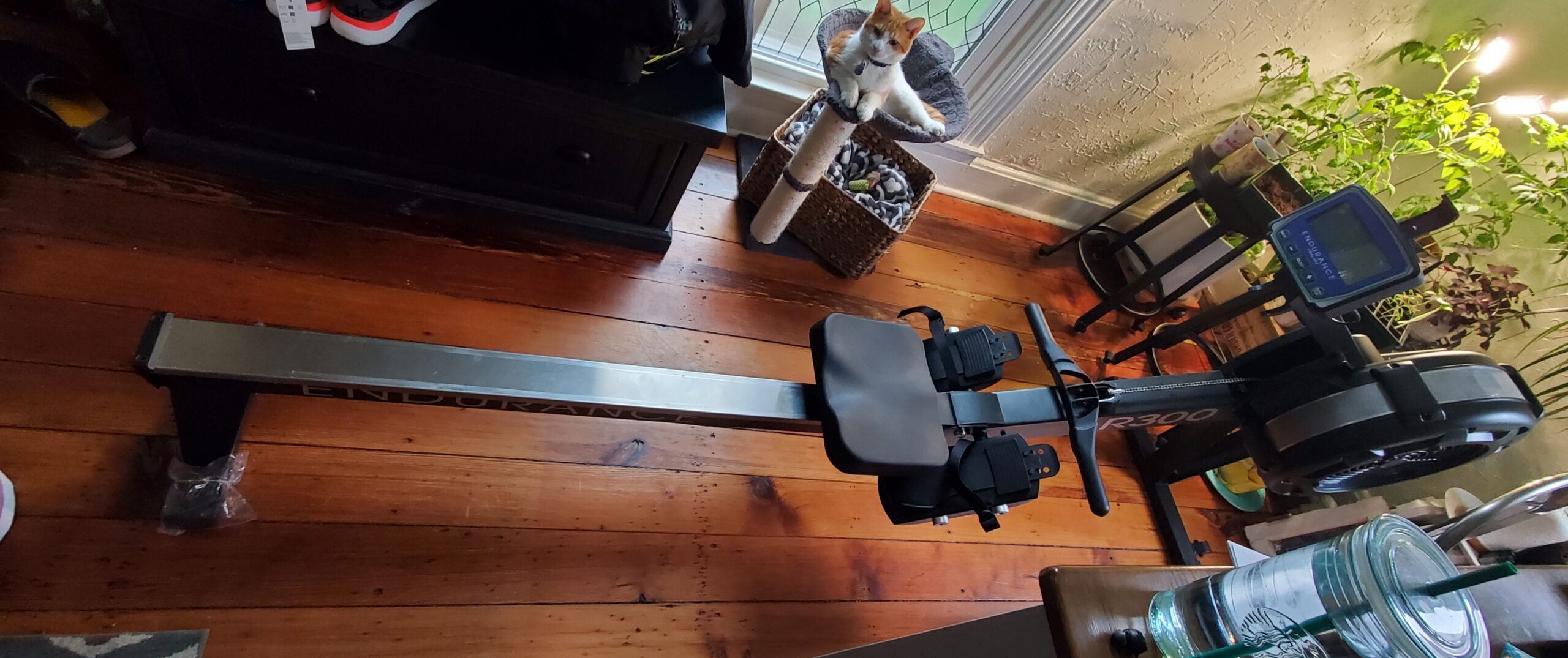 Body-Solid Endurance (R300) Air Resistance Indoor Rower - Cardio & Total Body Workout Machine with Self-Generating Power customer photo 1