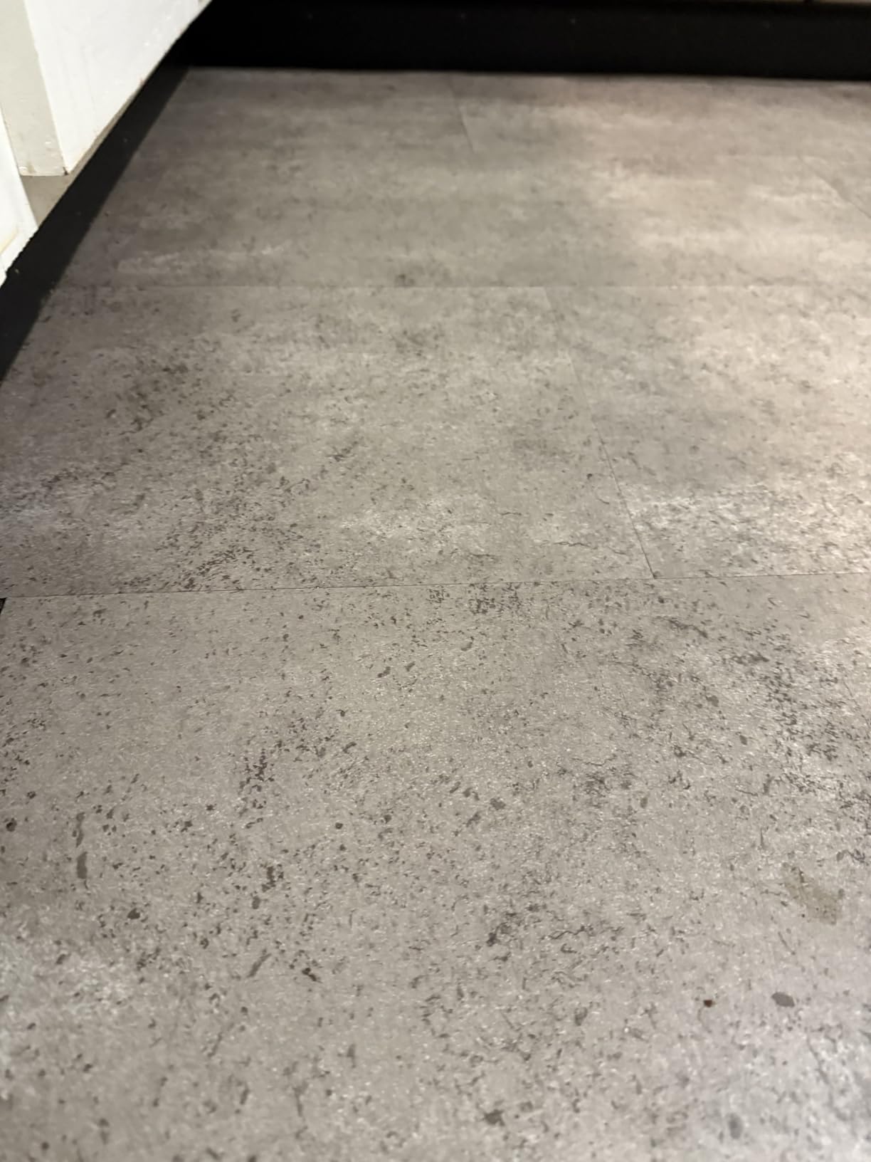 Bissell Crosswave Pet Pro All in One Wet Dry Vacuum Cleaner and Mop for Hard Floors and Area Rugs, 2306A customer photo 1