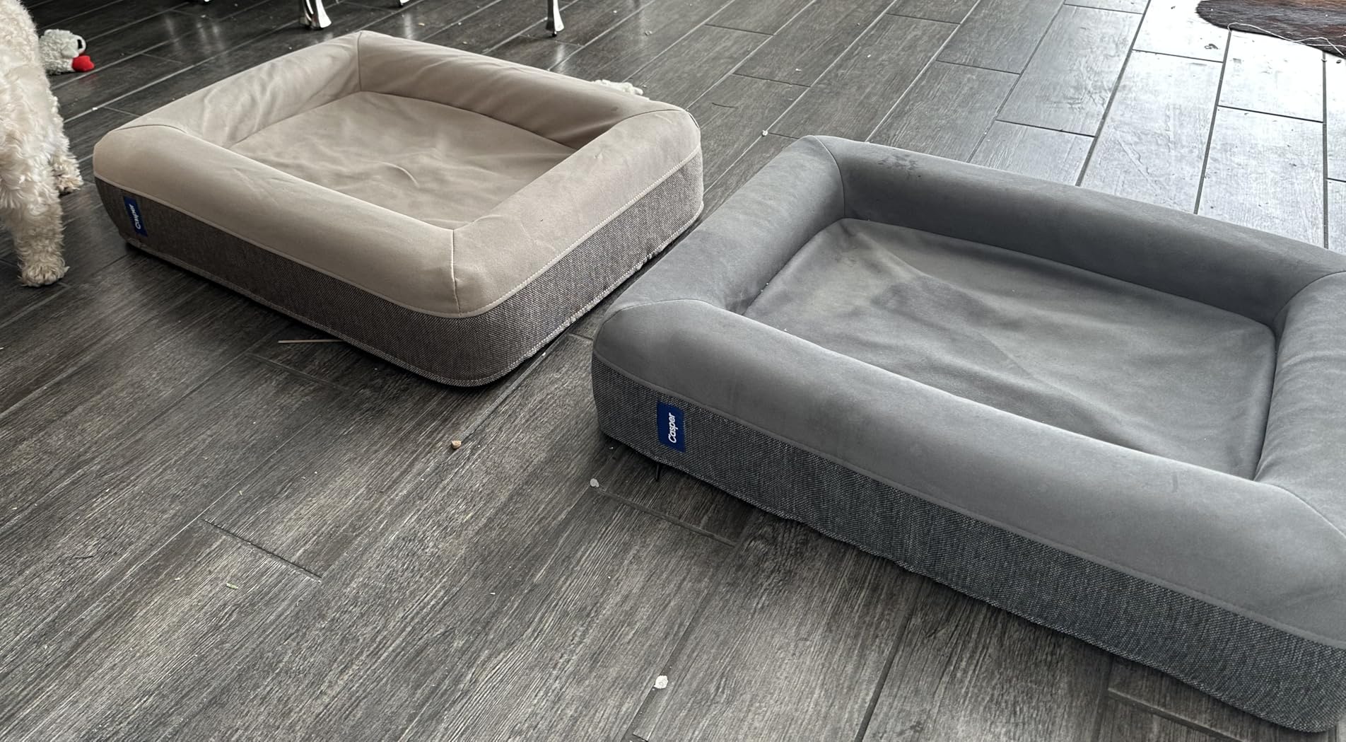 Casper Dog Bed, Plush Memory Foam, Large, Sand, 35.0