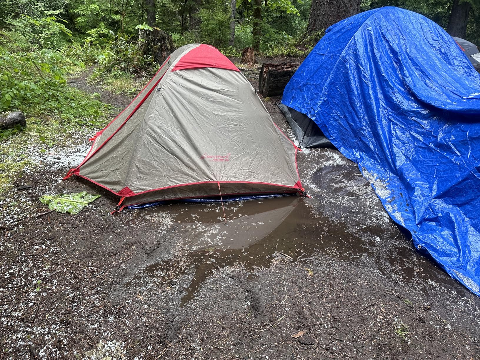 Clostnature Lightweight Backpacking Tent - 1/1.5/2/3/4/6 Person Ultralight Waterproof Camping Tent, 3 Season Large Size Easy Setup Tent for Family, Outdoor, Hiking and Mountaineering customer photo 2