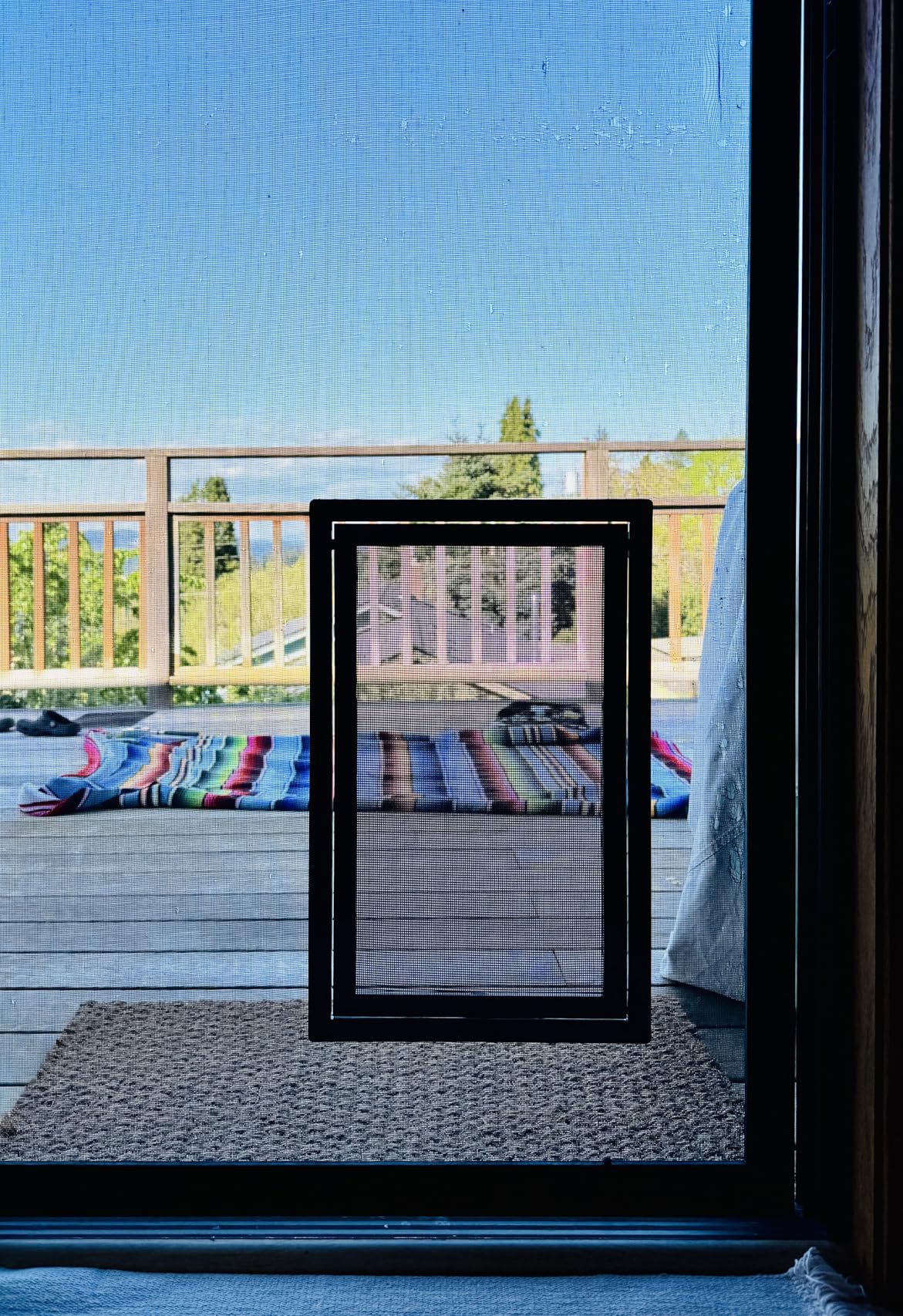 PetSafe Dog Door for Screen Door Size Large for Dogs and Cats up to 100 lb Use in Screen Doors Window Screens and Porch Screens customer photo 1