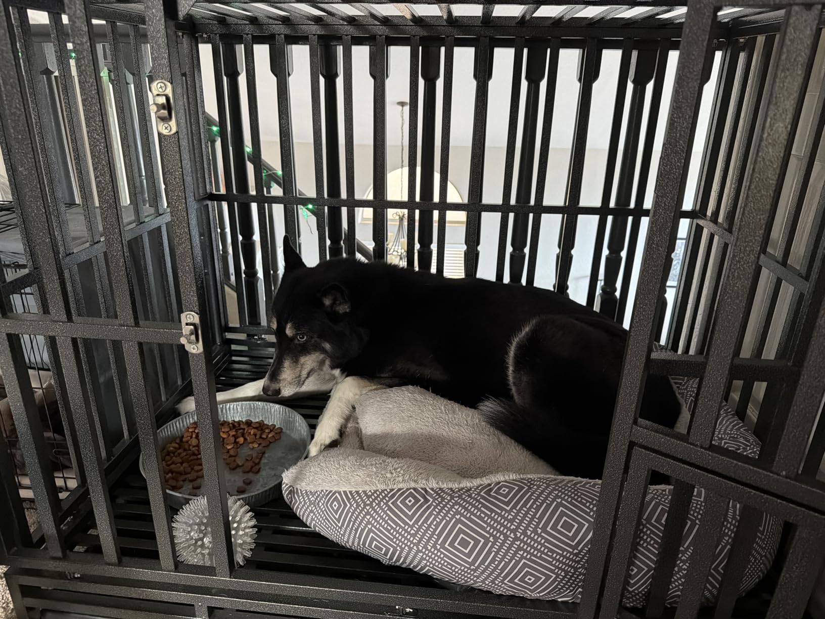 LUCKUP Heavy Duty Dog Cage Metal Kennel and Crate for Medium and Large Dogs, Pet Playpen with Four Wheels,Easy to Install,46 inch,Black customer photo 2