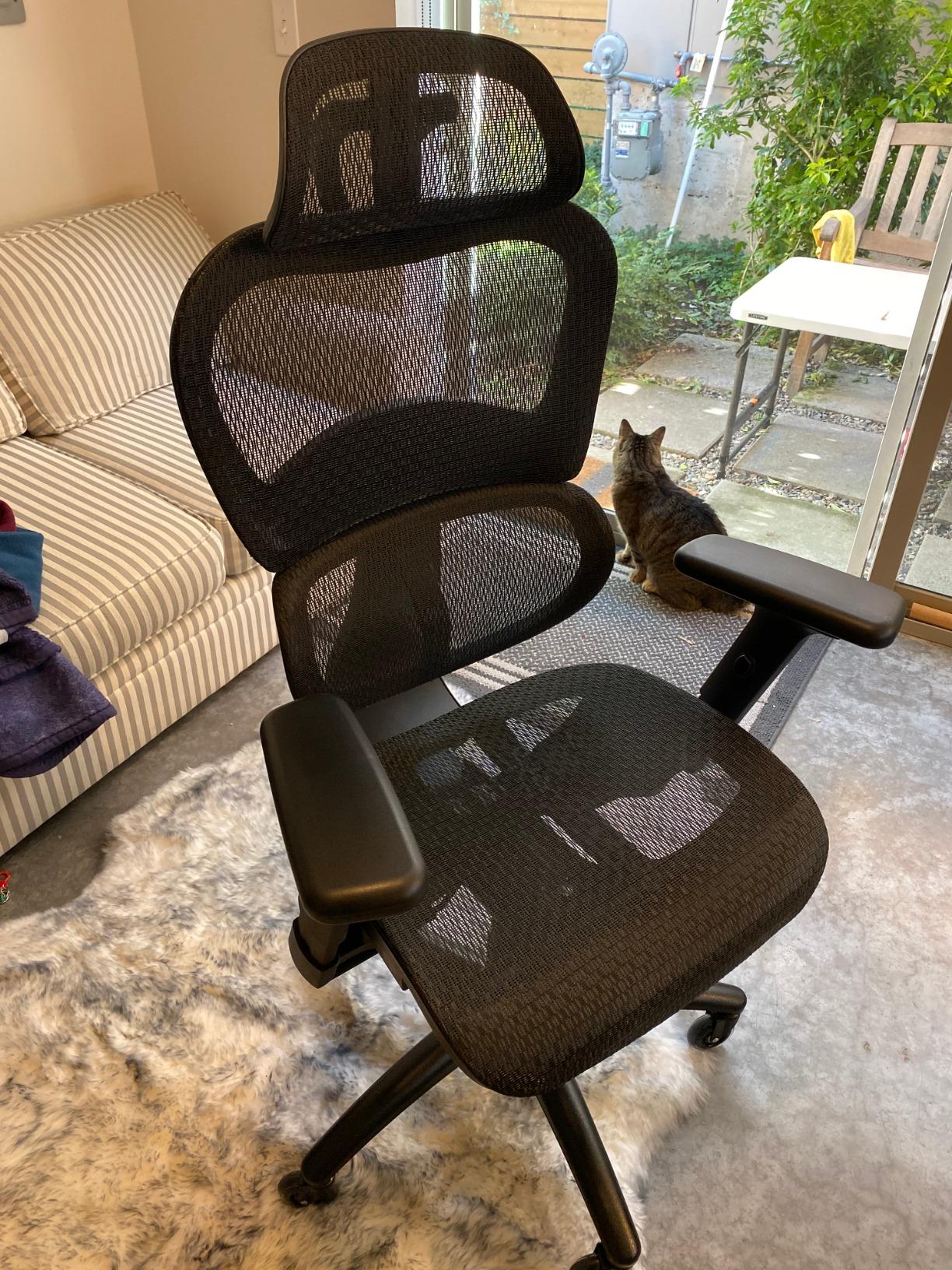 Nouhaus Ergo3D Ergonomic Office Chair Lumbar Support Mesh Office Chair with 4D Adjustable Armrest, Adjustable Headrest and Wheels, Mesh High Back Home Office Desk Chairs (Grey) customer photo 2