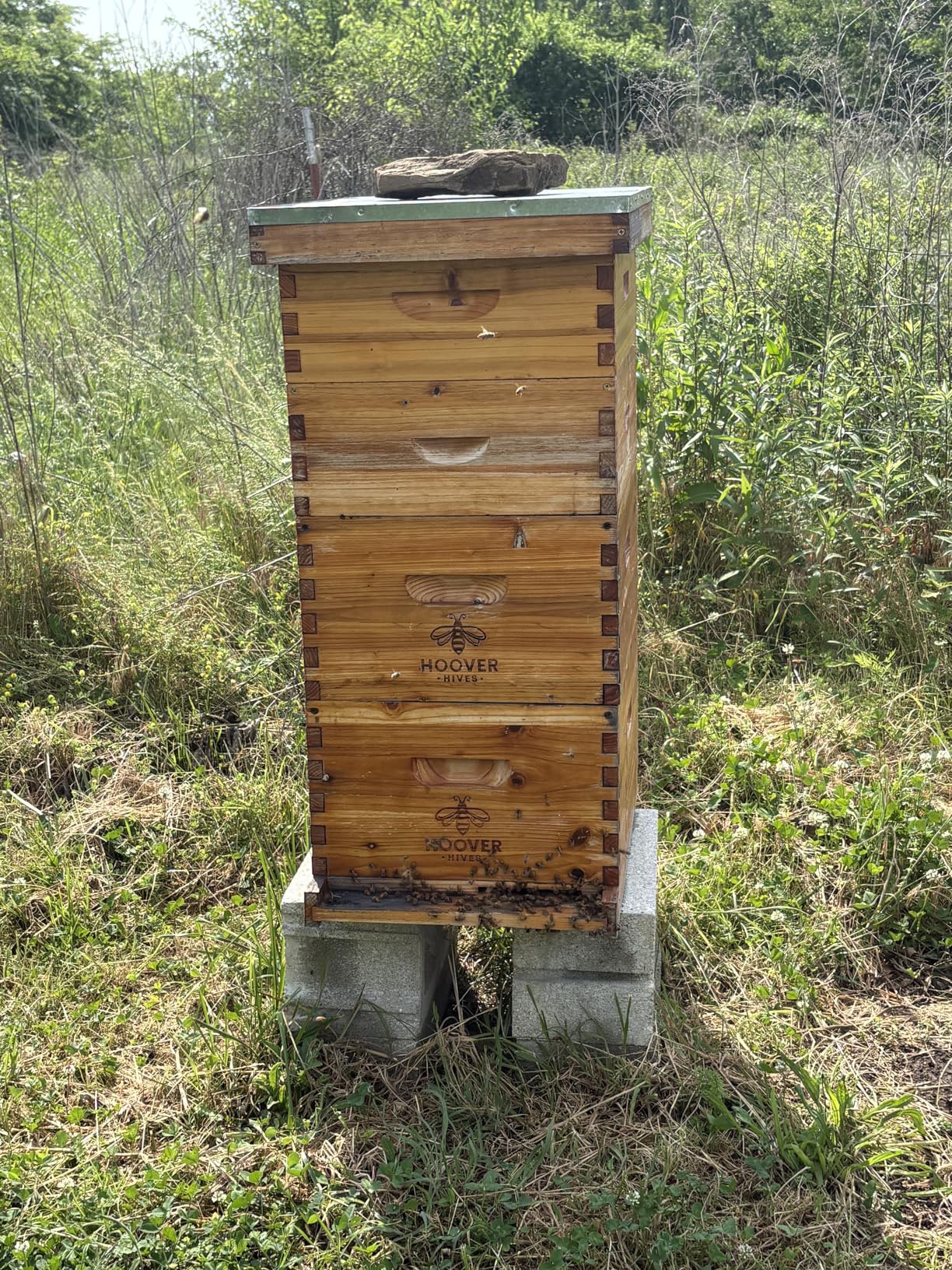 Hoover Hives: The Original Beeswax Coated Beehive Kit. Includes 2 Deep & 1 Medium Boxes with 10 Wooden Frames & Heavy Wax Coated Foundations. Easy Assembly with Predrilled Holes & Screws customer photo 1