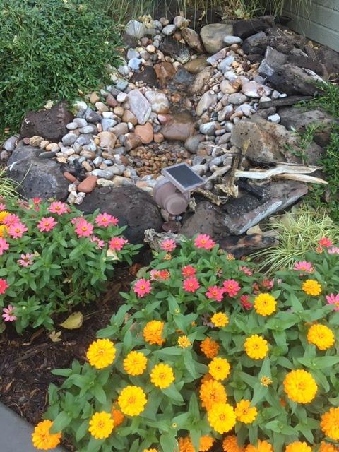 Aquascape EcoWave 5000 GPH Pond and Waterfall Pump, Mag-Drive, Quiet, Efficient, Compact | 91134 customer photo 1