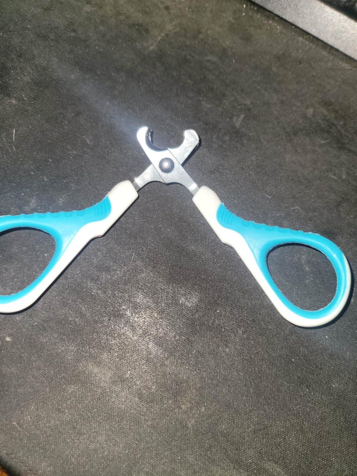 gonicc Professional Pet Nail Clippers and Trimmer - Best for Cats, Small Dogs and Any Small Pets. Sharp Angled Blade Pet Nail Trimmer Scissors. customer photo 2