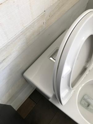 WOODBRIDGE T-0018/B-0735 Dual Flush Elongated One Piece Soft Closing Seat, Comfort Height, White T-0018/B0735, Modern Toilet customer photo 1