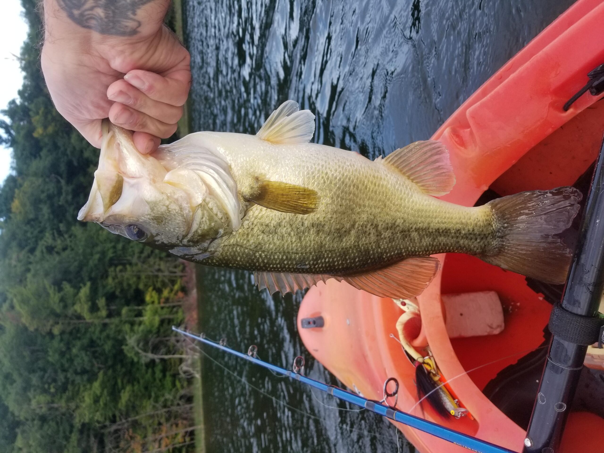 Savage Gear 3D Burbot Fishing Soft Bait customer photo 1