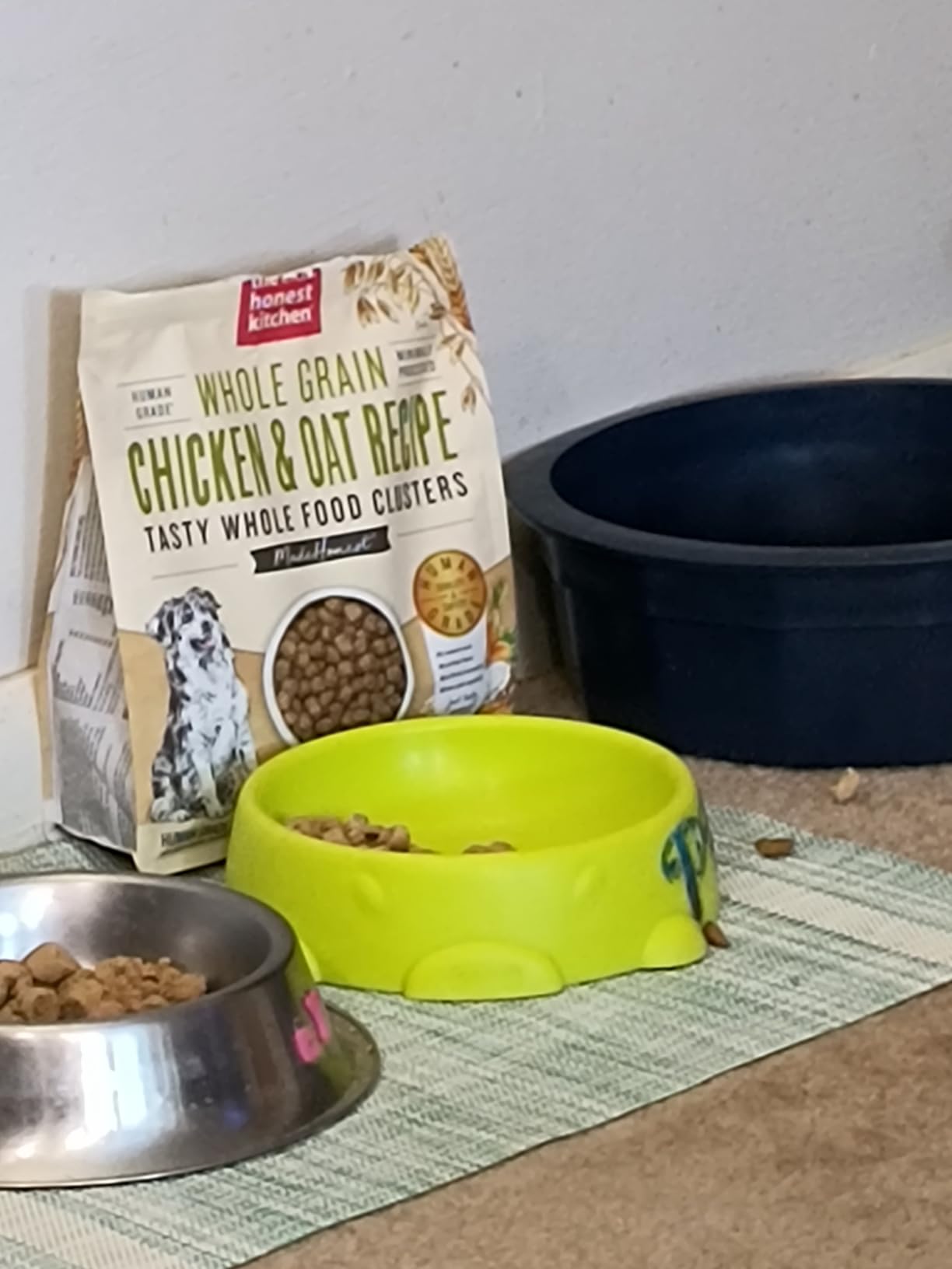 The Honest Kitchen Whole Food Clusters Whole Grain Chicken & Oat Dry Dog Food, 5 lb Bag customer photo 1
