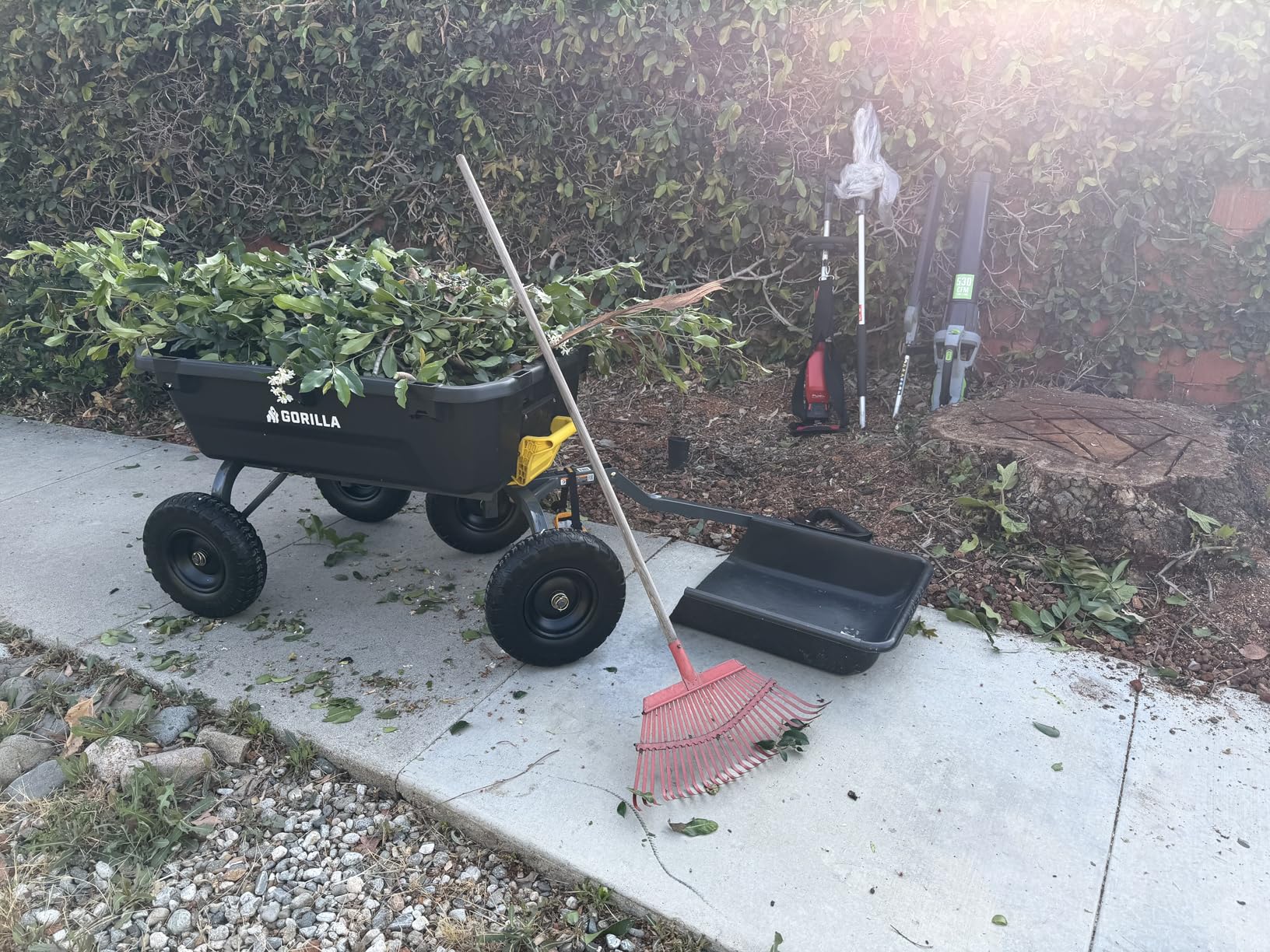 Gorilla Carts Heavy-Duty Dump Cart, Patented Quick-Release Dumping, Steel Frame, 600 lb Capacity, No-Flat 10-Inch Tires customer photo 1