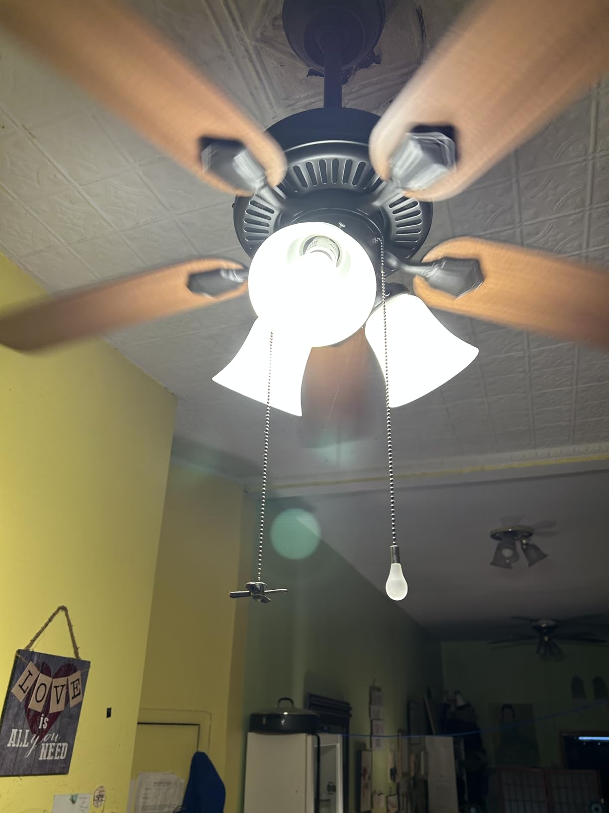 Hunter 52 inch Indoor Ceiling Fan with LED Lights - White Ceiling Fan with Pull Chain, Swanson 50895, Fresh White customer photo 2