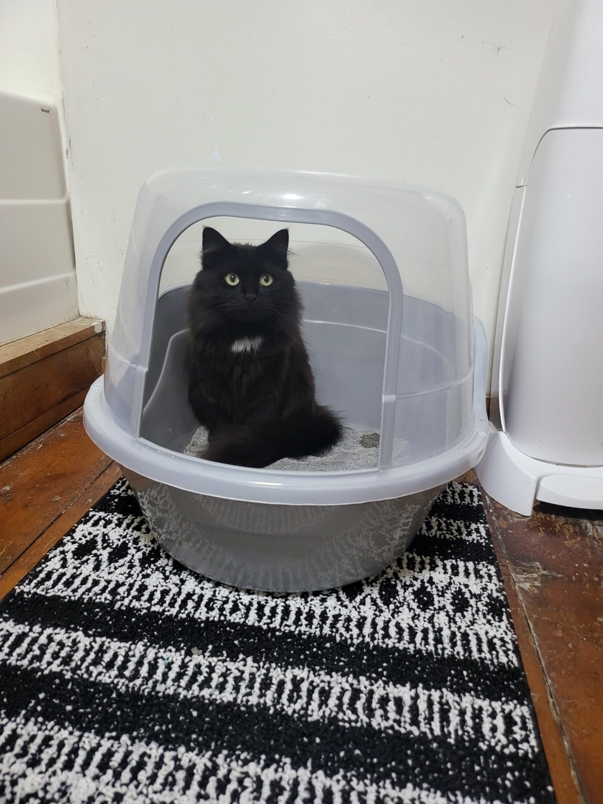 Petphabet Jumbo Hooded Cat Litter Box, Extra Large Gray customer photo 2