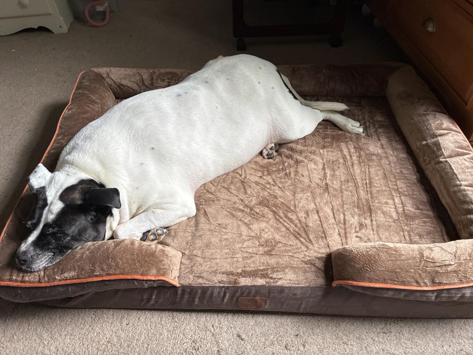 Bedsure Orthopedic Dog Beds Large Sized Dog - Washable Large Dog Cat Bed Waterproof, Comfort Dogs Couch Sofa with Washable Removable Cover, Pet Bed with Nonskid Bottom, Grey, 35