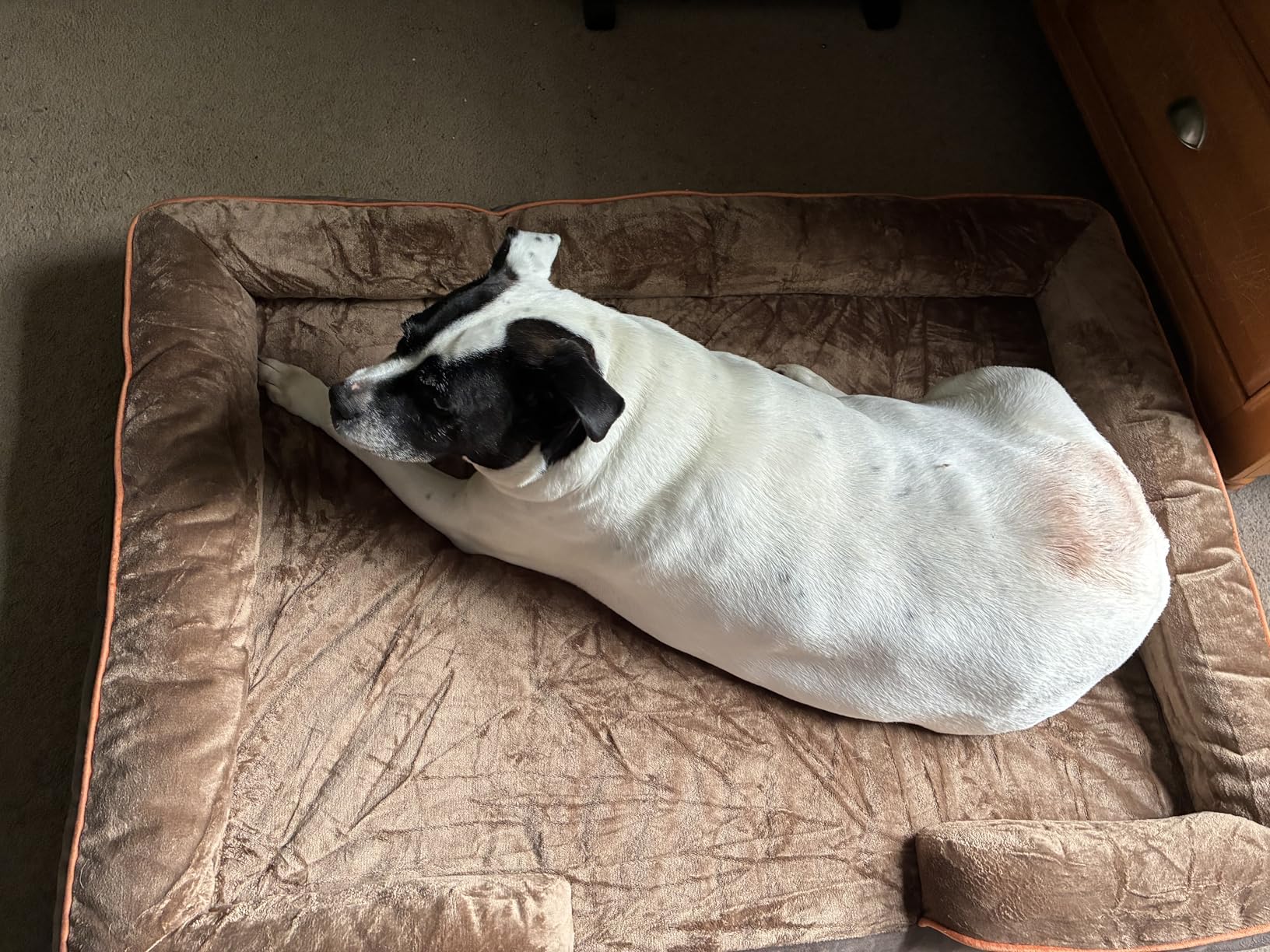 Bedsure Orthopedic Dog Beds Large Sized Dog - Washable Large Dog Cat Bed Waterproof, Comfort Dogs Couch Sofa with Washable Removable Cover, Pet Bed with Nonskid Bottom, Grey, 35