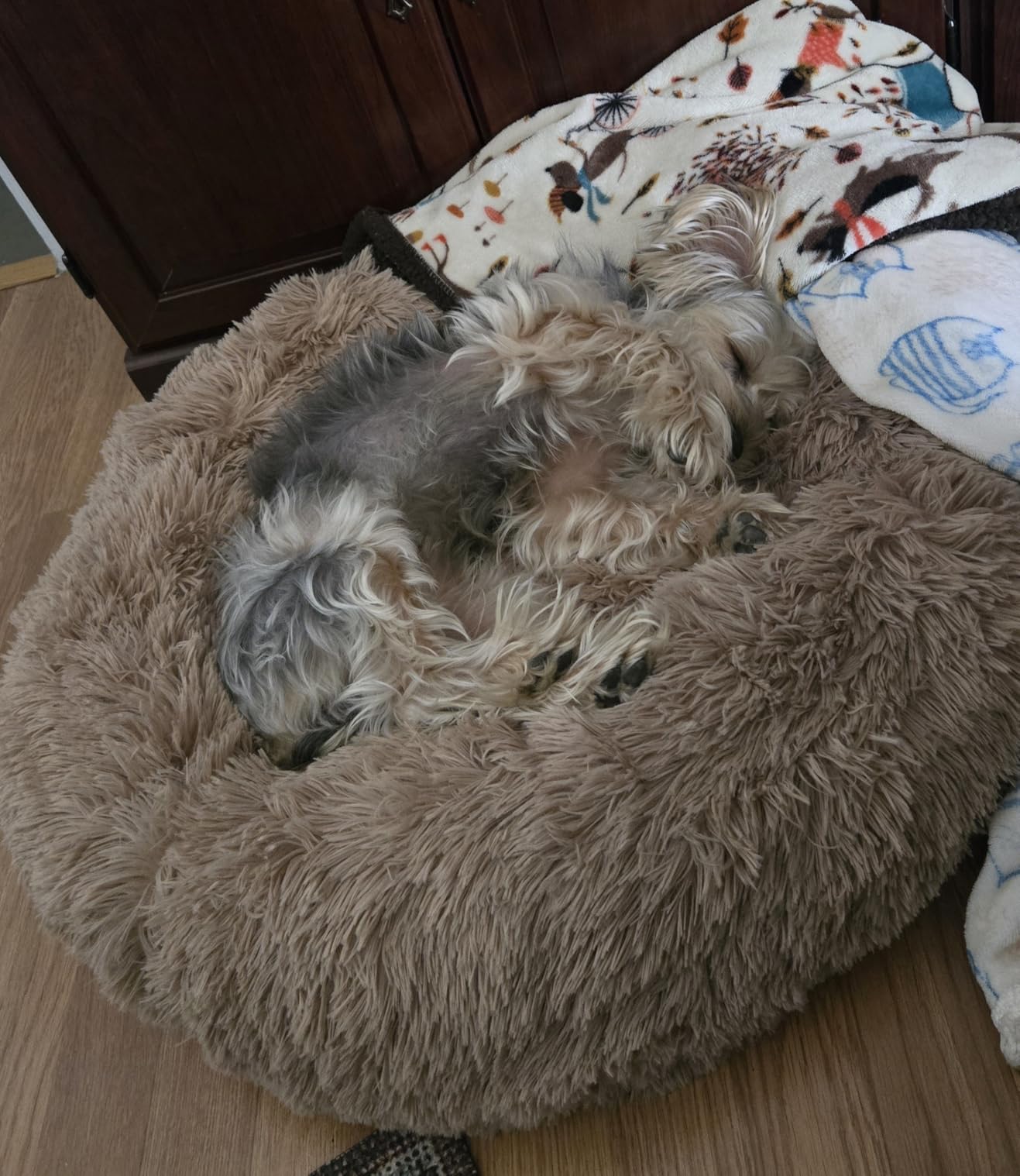 Bedsure Calming Dog Bed Medium Size Dog - Donut Washable Medium Pet Bed, 30 inches Anti-Slip Round Fluffy Plush Faux Fur Cat Bed, Fits up to 45 lbs Pets, Camel customer photo 1