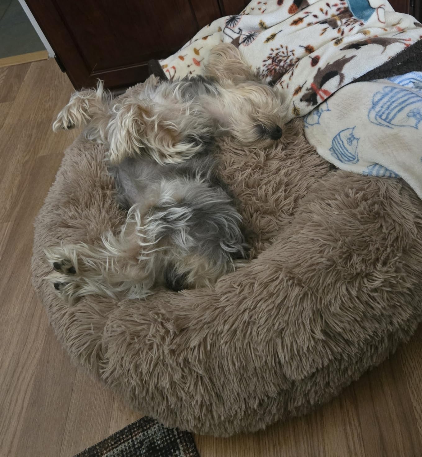 Bedsure Calming Dog Bed Medium Size Dog - Donut Washable Medium Pet Bed, 30 inches Anti-Slip Round Fluffy Plush Faux Fur Cat Bed, Fits up to 45 lbs Pets, Camel customer photo 2