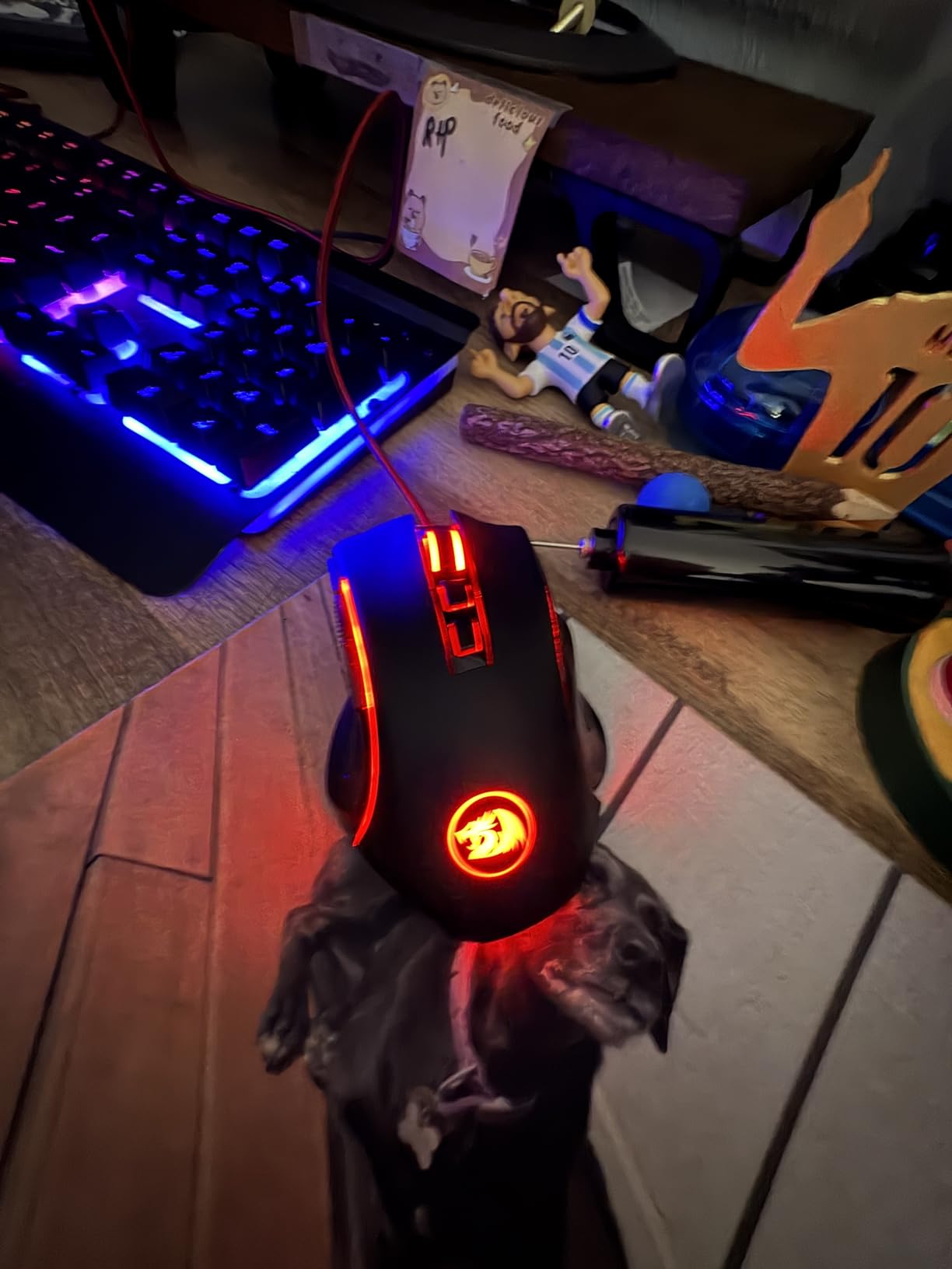 Redragon M602 Griffin RGB Gaming Mouse, Tri-Mode 2.4G/USB-C/Bluetooth Mouse Gaming, RGB Spectrum Backlit Ergonomic Mouse with 7 Programmable Backlight Modes up to 8000 DPI customer photo 2