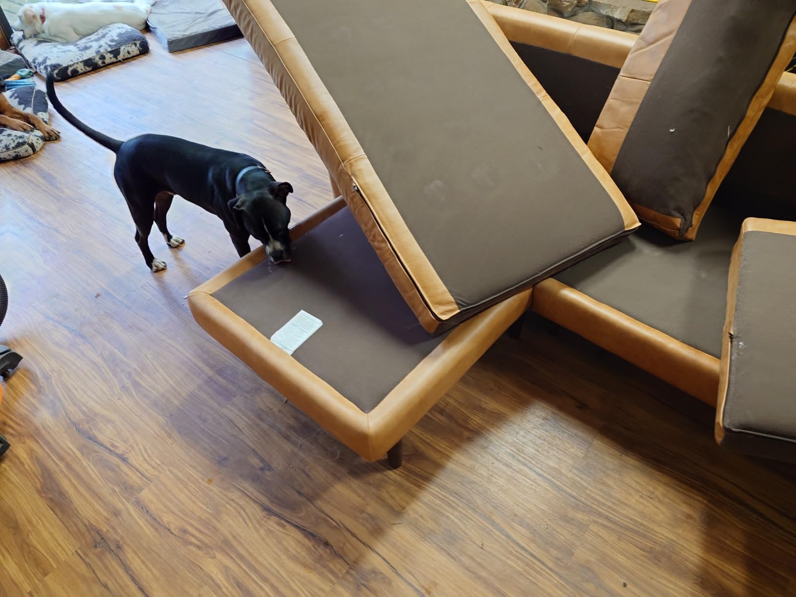 POLY & BARK Napa 82
