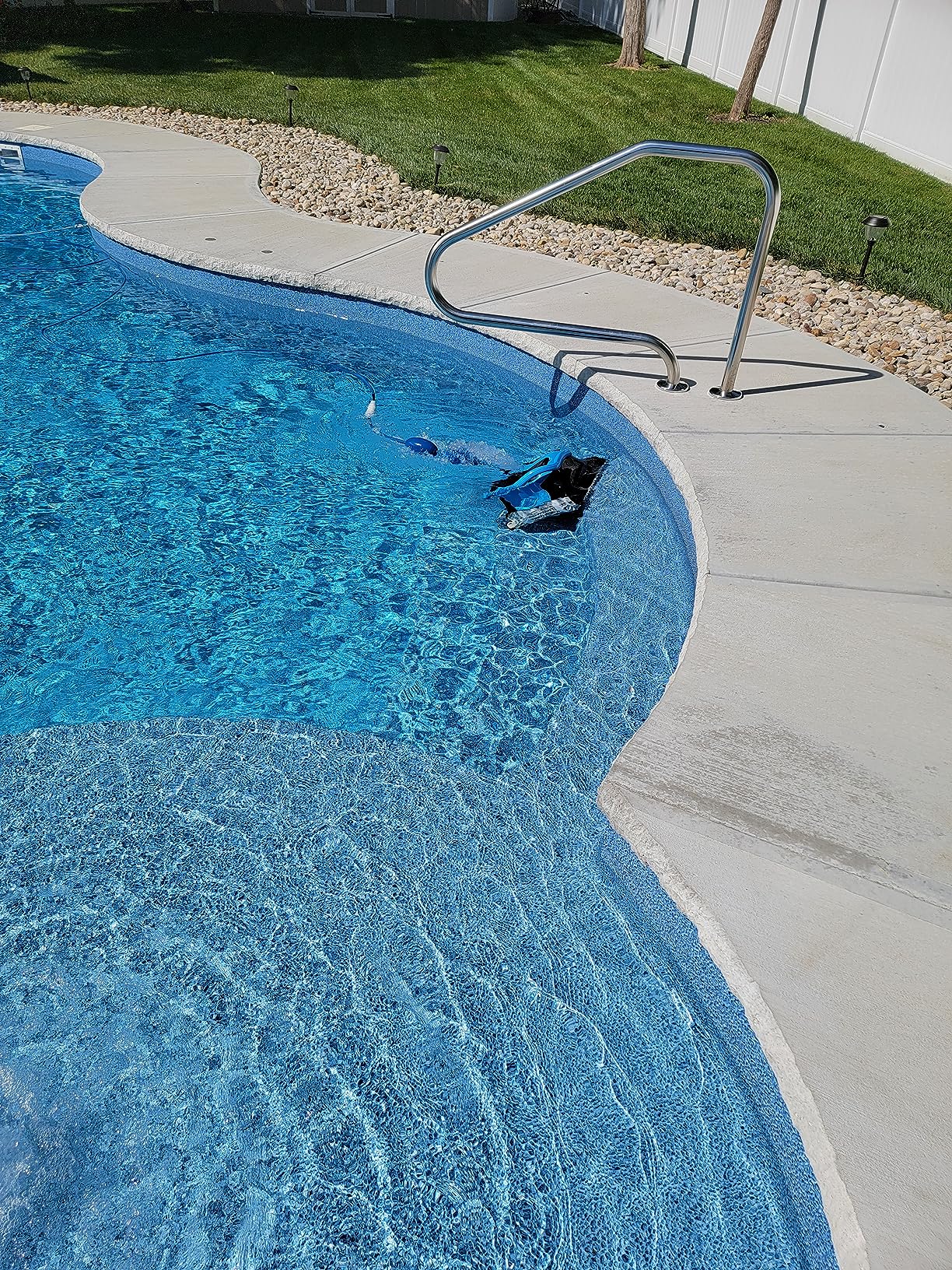 Dolphin Nautilus CC Plus Robotic Pool Vacuum Cleaner with Caddy and Classic Caddy Cover, Store and Protect, Ideal for All Pools up to 50 FT in Length customer photo 2
