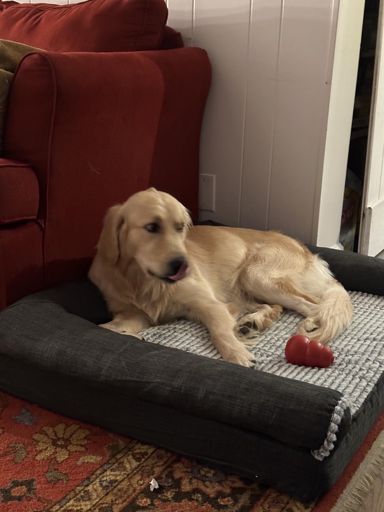 FurHaven Orthopedic Dog Bed For Large Dogs, Sofa Contour Mattress with Solid Orthopedic Foam Slab for Joint Support, Removable Washable Cover, Jumbo Plus XXL, Faux Fur, Charcoal customer photo 2