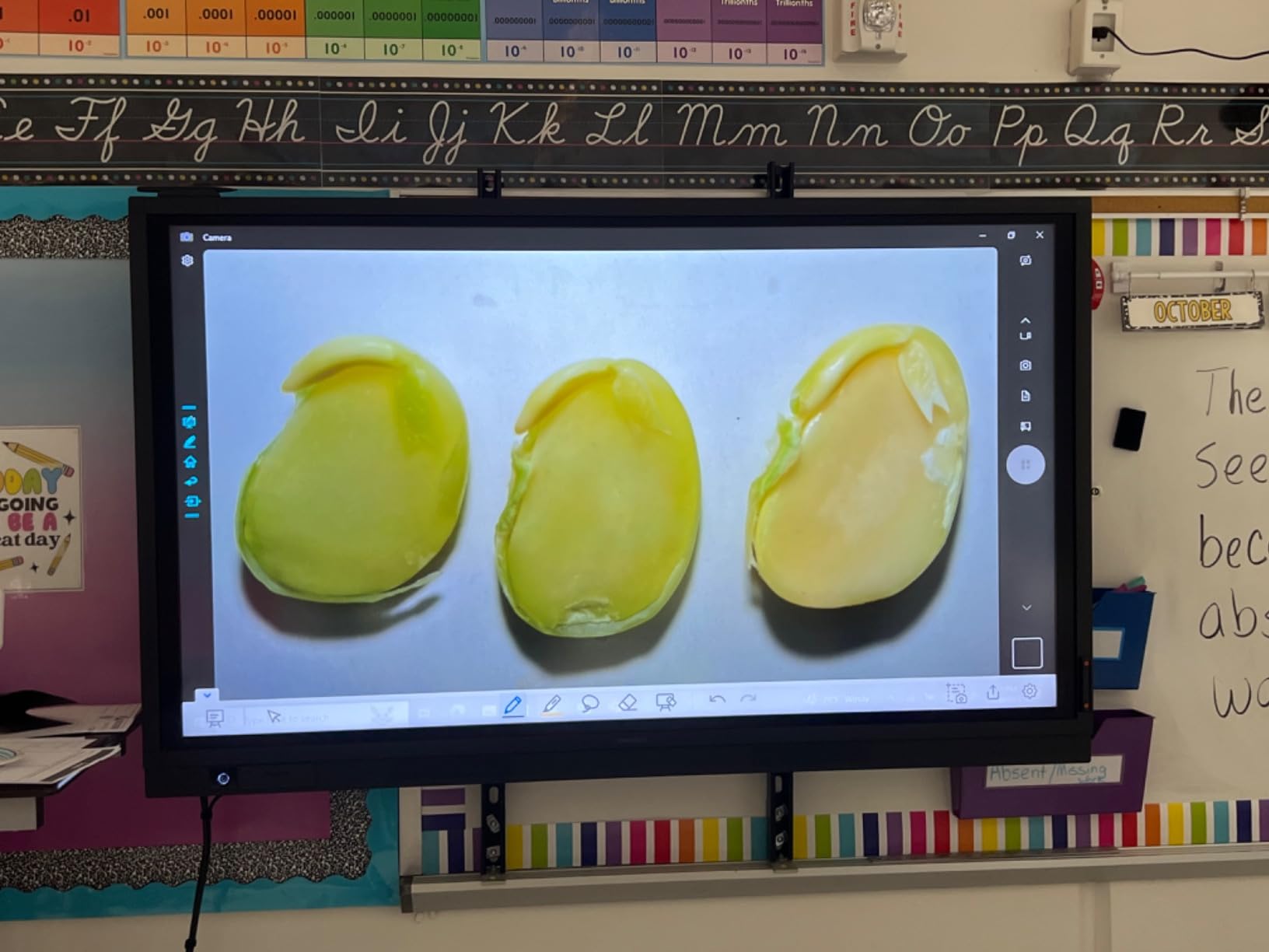 INSWAN INS-2 4K USB Document Camera - 13MP, Dual Auto-Focus, LED Light & Mic - Plug & Play for Mac, Windows, iPad, Chromebook - A3 Capture - Ideal for Teachers & Classrooms, White customer photo 1
