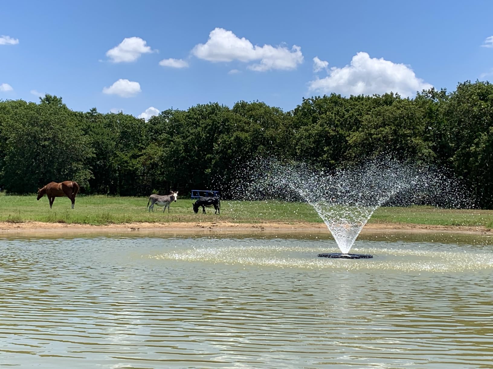 FS02 110V, 1/2 HP Large Pond Floating Fountain, Oil Free Pump 9000 GPH with 100' Cord, Two Spray Patterns Included customer photo 1