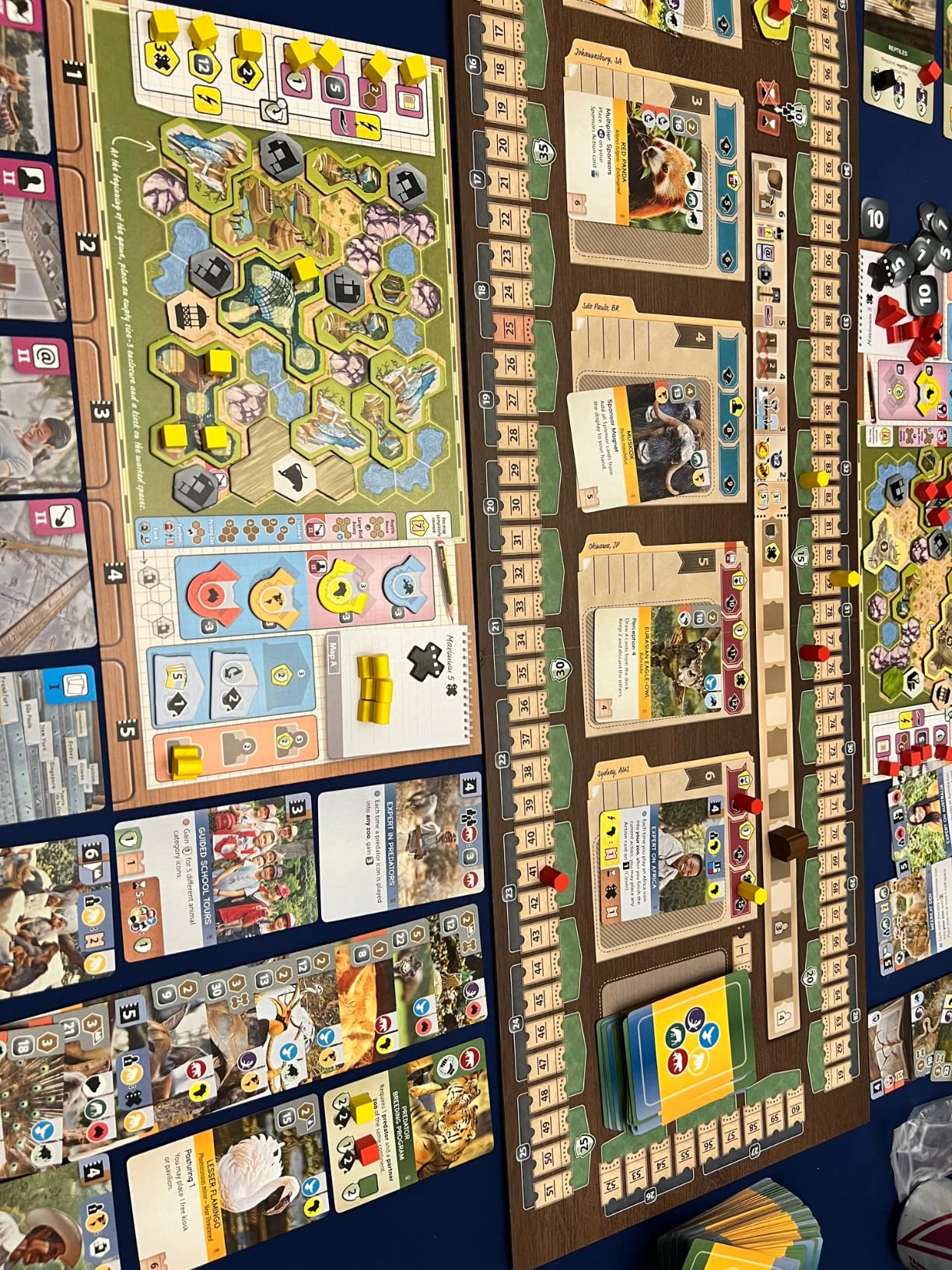 Ark Nova Strategy Board Game for 1-4 Players, Card Drafting, Zoo Building, Hand Management Game with High Replayability | Ages 14+ | 90-150 Minute Play Time customer photo 1