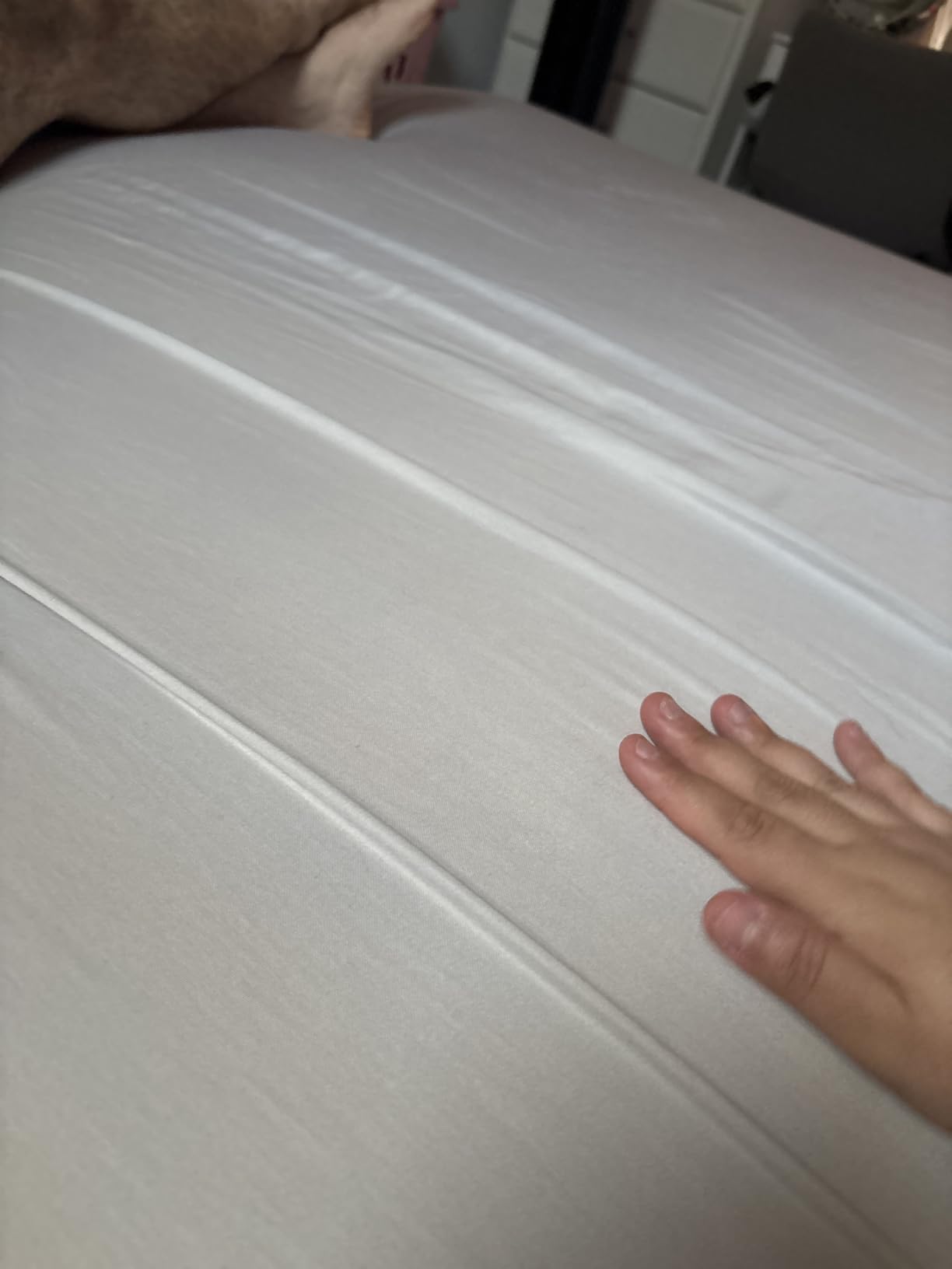 California Design Den Queen Sheet Set - Natural 100% Cotton Sheets Queen Size Bed Set with Deep Pockets, Soft Sateen Weave, Breathable and Durable Bedding (White) customer photo 1