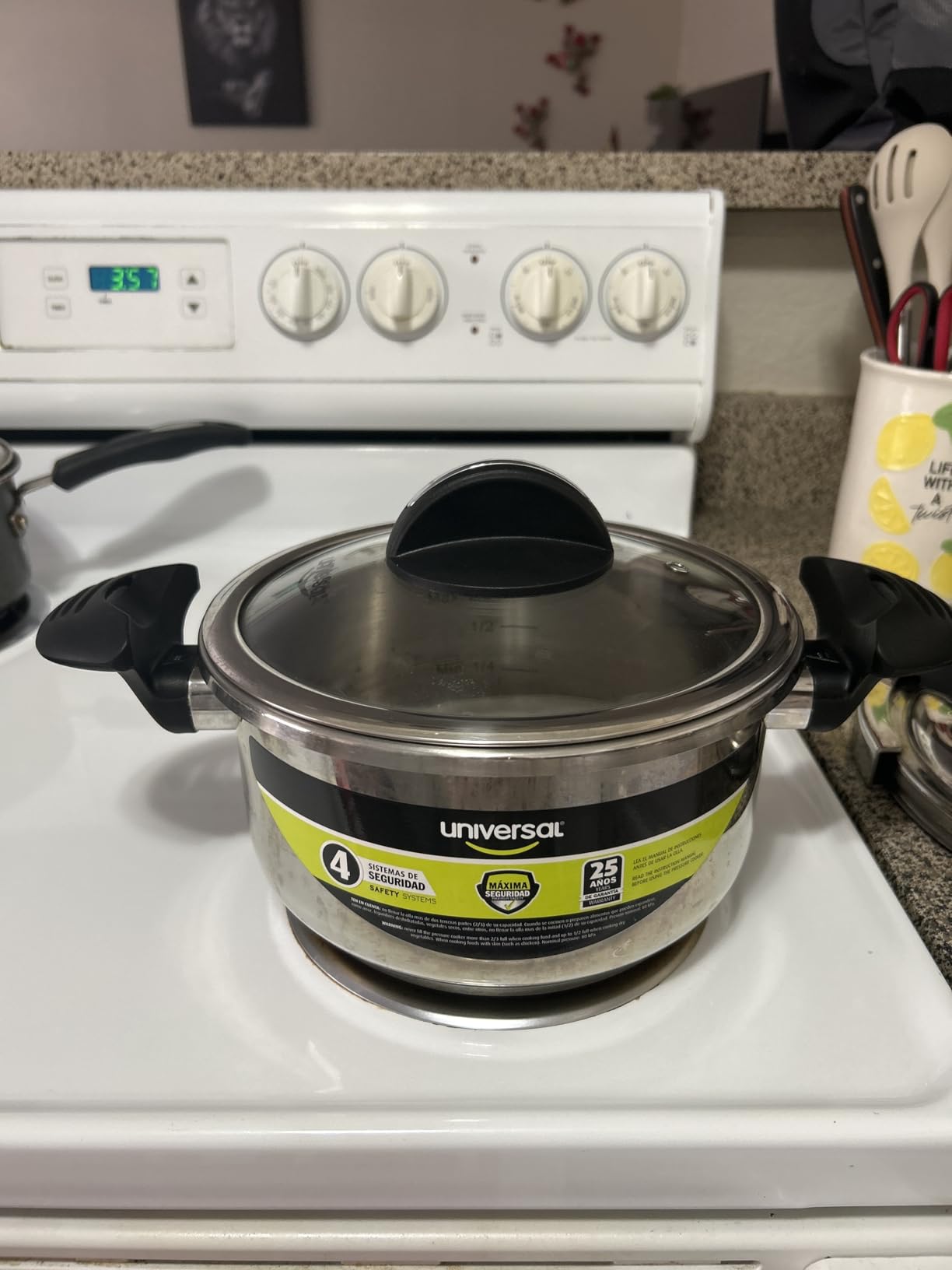 Universal (6.3 Quart / 6 Liter) Stainless Steel Easy Use Pressure Cooker + Extra Glass Lid, Induction Compatible, Pressure Cooker & Multipurpose Pot, 7 servings customer photo 2