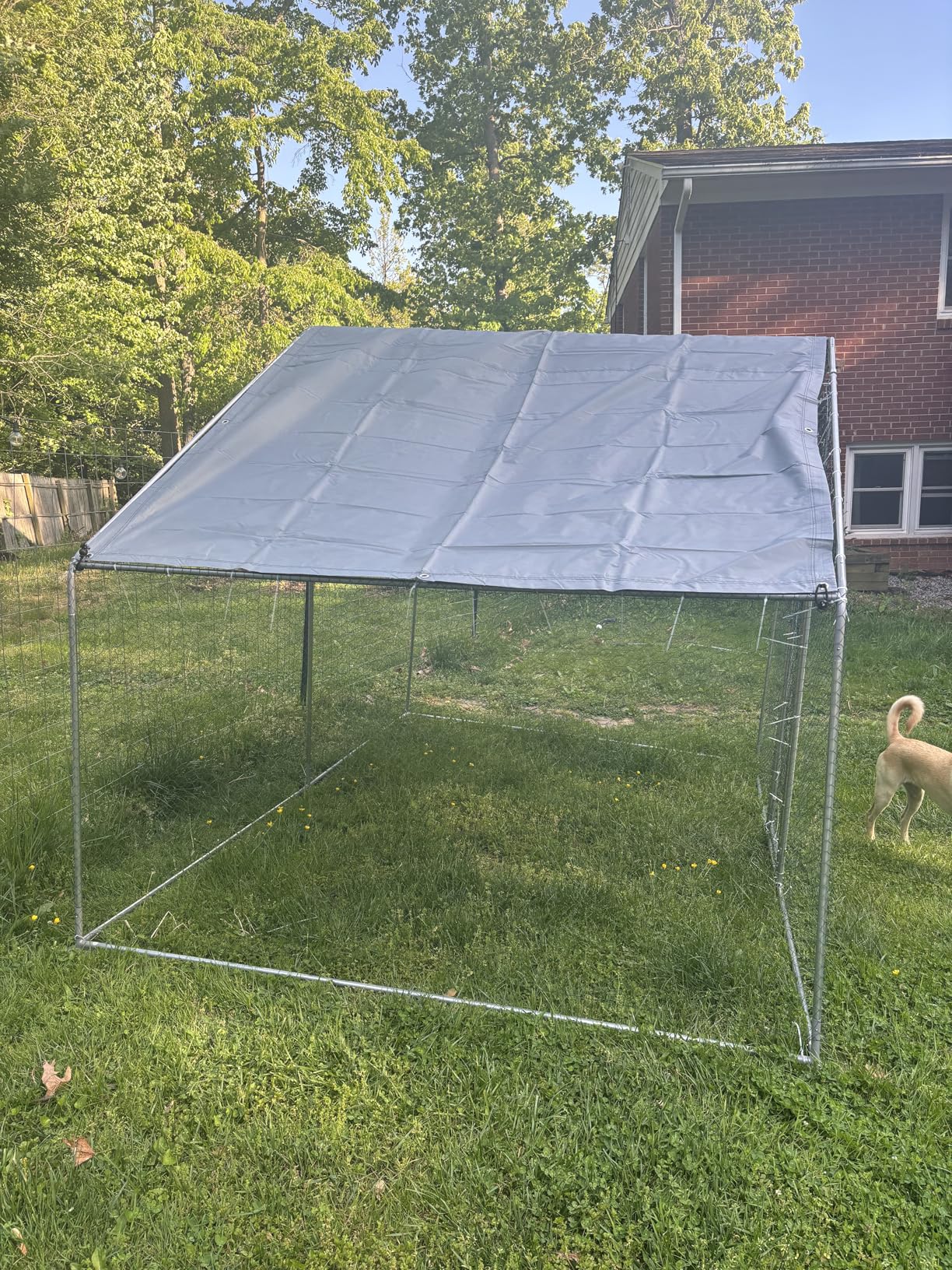 Large Metal Chicken Coop Round Top Upgrade Tri-Supporting Wire Mesh Chicken Run, Chicken Pen with Water-Resistant and Anti-UV Cover, Duck Rabbit House Outdoor (Dome Roof 19'L x 9'W x 6.5'H) customer photo 2