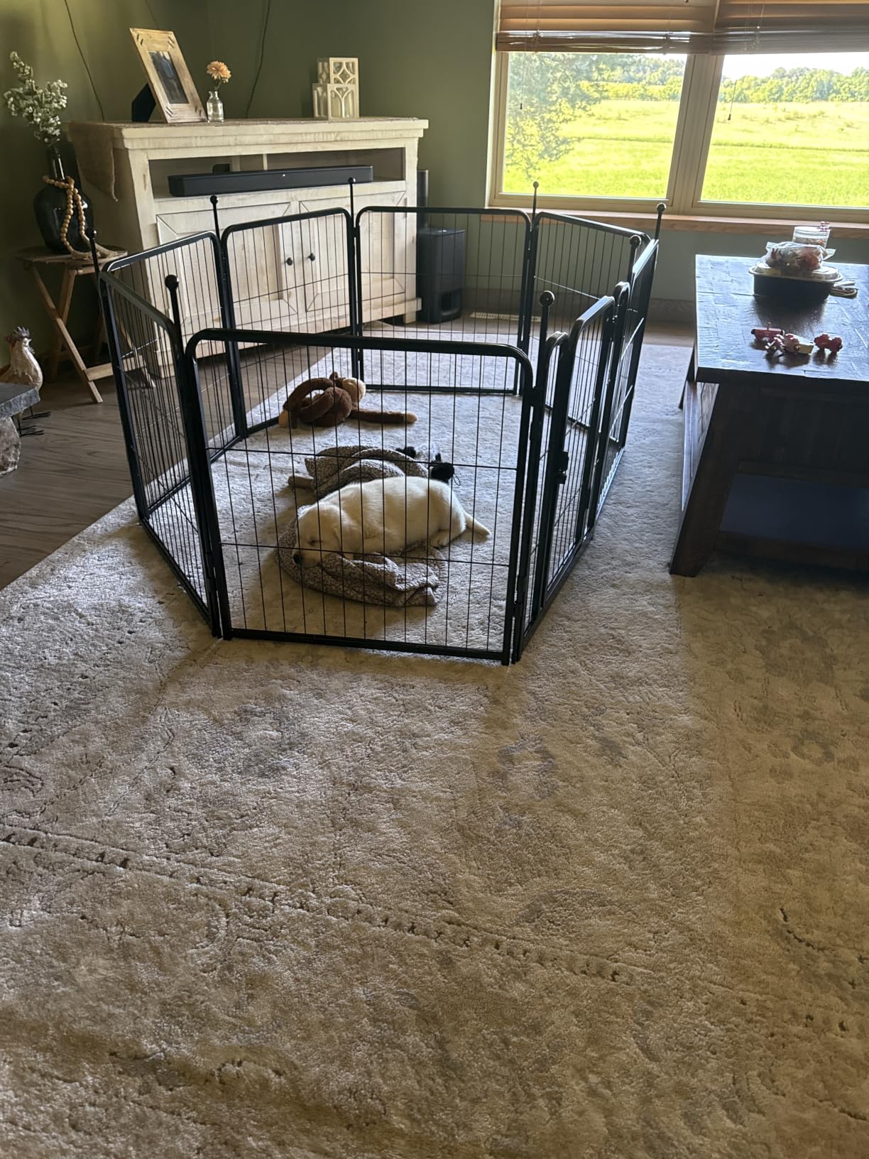 FXW Rollick Unleashed Dog Playpen for Indoor, Yard, RV Camping, 40 inch 8 Panels for Medium and Large Dogs, Black | Patented customer photo 2