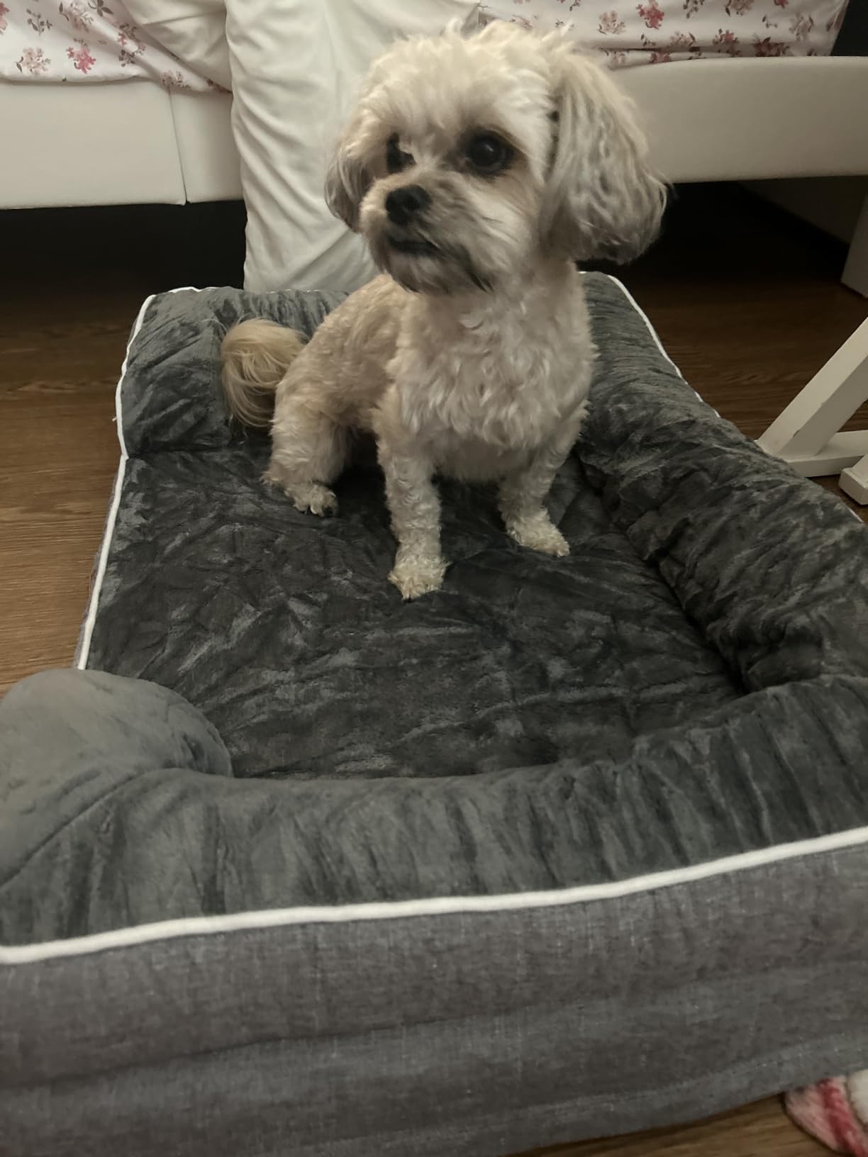 EHEYCIGA Orthopedic Dog Beds Large Sized Dog, Waterproof Memory Foam Pet Bed with Sides, Non-Slip Bottom Large Pet Bed with Washable Removable Cover, Grey customer photo 2