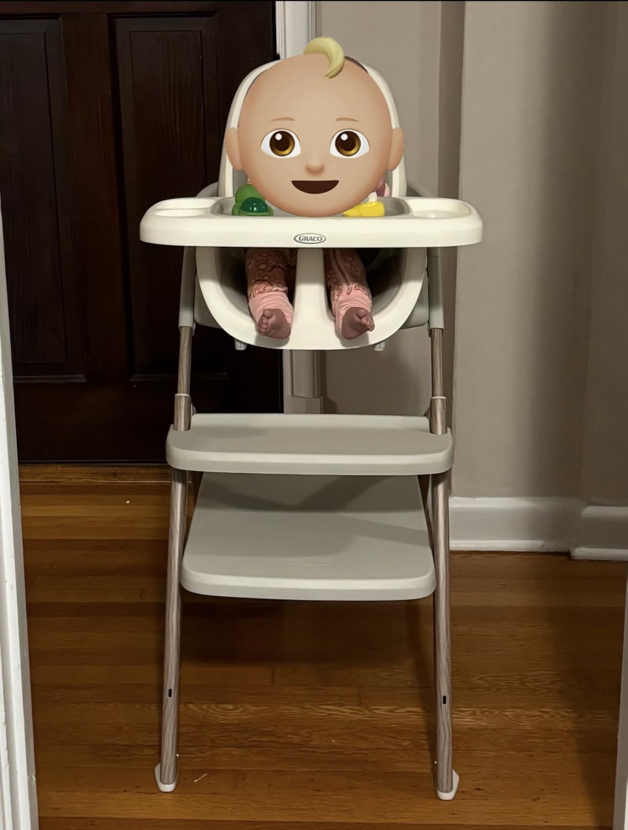 Graco EveryStep 6 in 1 High Chair, Babies and Toddlers Portable Slim High Chair with 6 Growing Stages from Infant to Toddler Seating customer photo 1