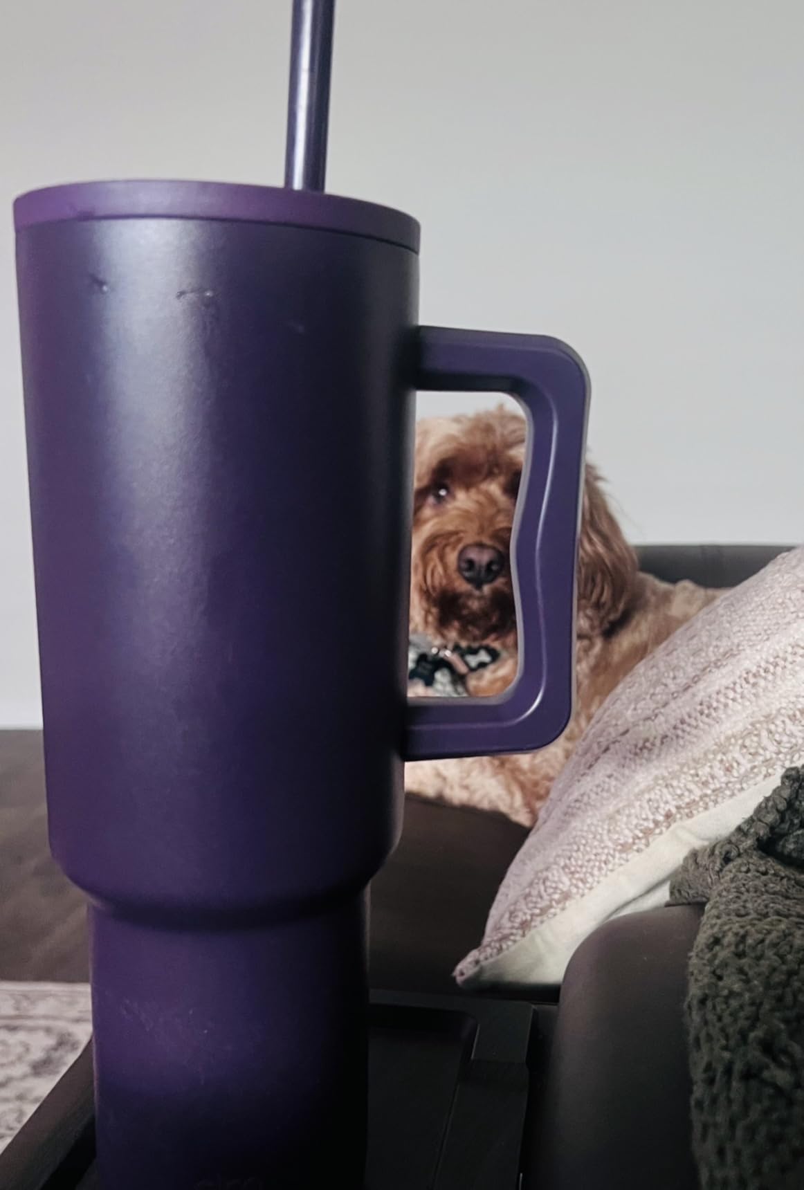 Simple Modern 40 oz Trek Tumbler with Handle and Straw Lid | Cup Holder Friendly Insulated Stainless Steel Travel Mug | Almond Birch customer photo 1