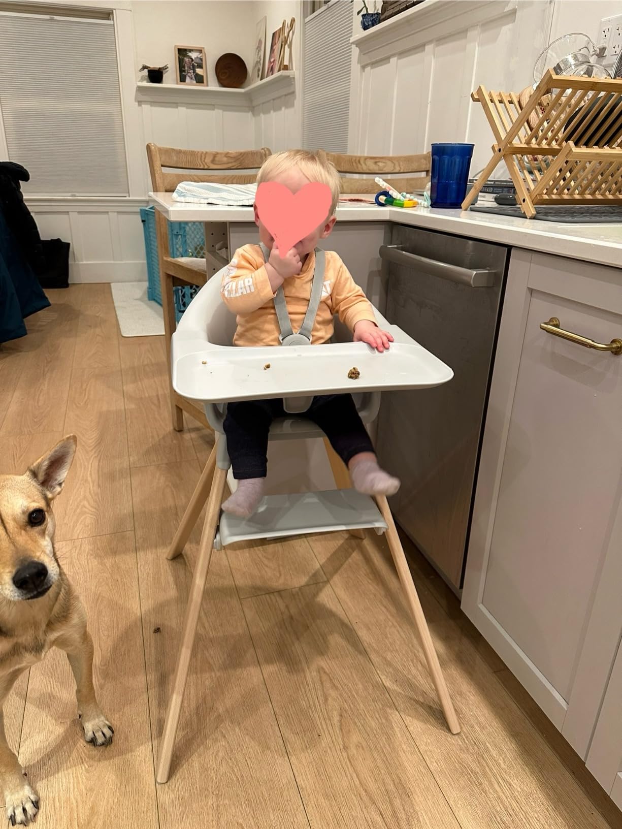 Stokke Clikk High Chair, White - All-in-One High Chair with Tray + Harness - Light, Durable & Travel Friendly - Ergonomic with Adjustable Features - Best for 6-36 Months or Up to 33 lbs customer photo 1
