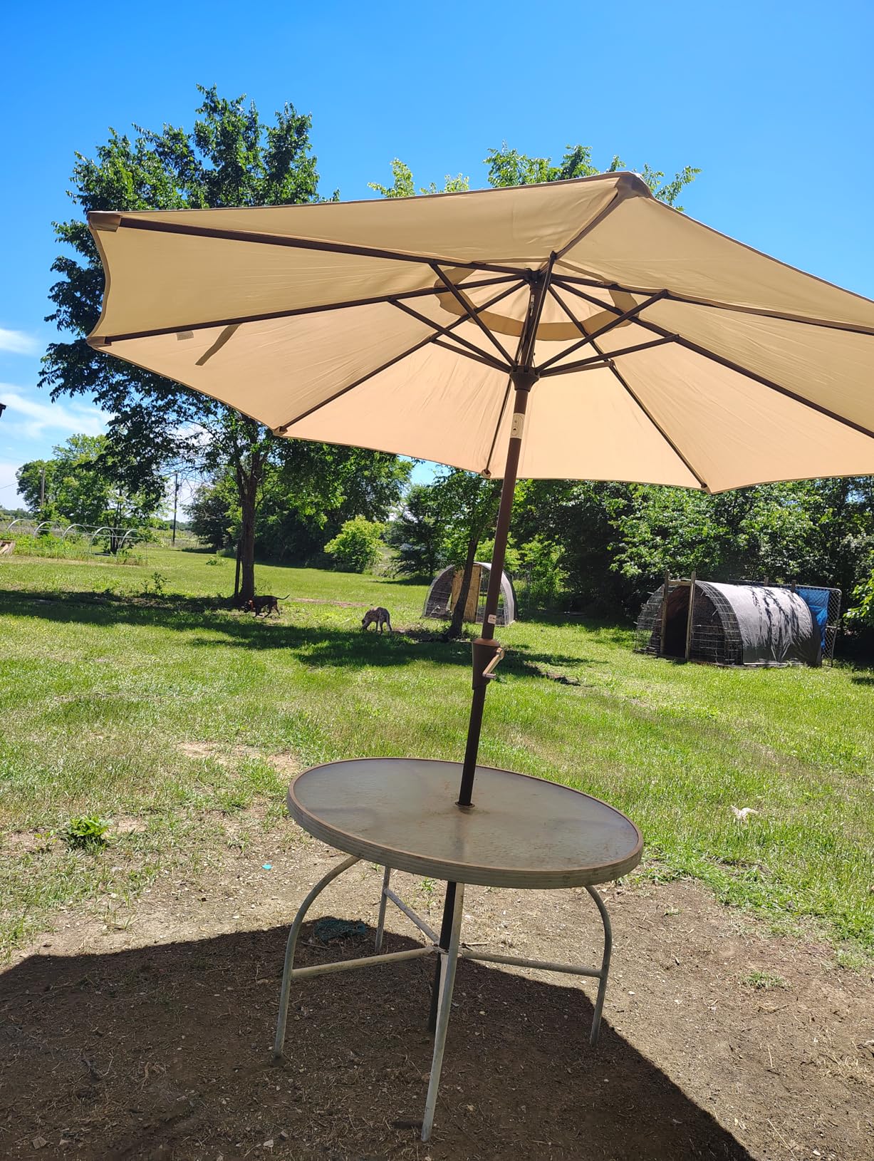 JEAREY 9FT Outdoor Patio Umbrella Outdoor Table Umbrella with Push Button Tilt and Crank, Market Umbrella 8 Sturdy Ribs UV Protection Waterproof for Garden, Deck, Backyard, Pool (Peacock Blue) customer photo 2