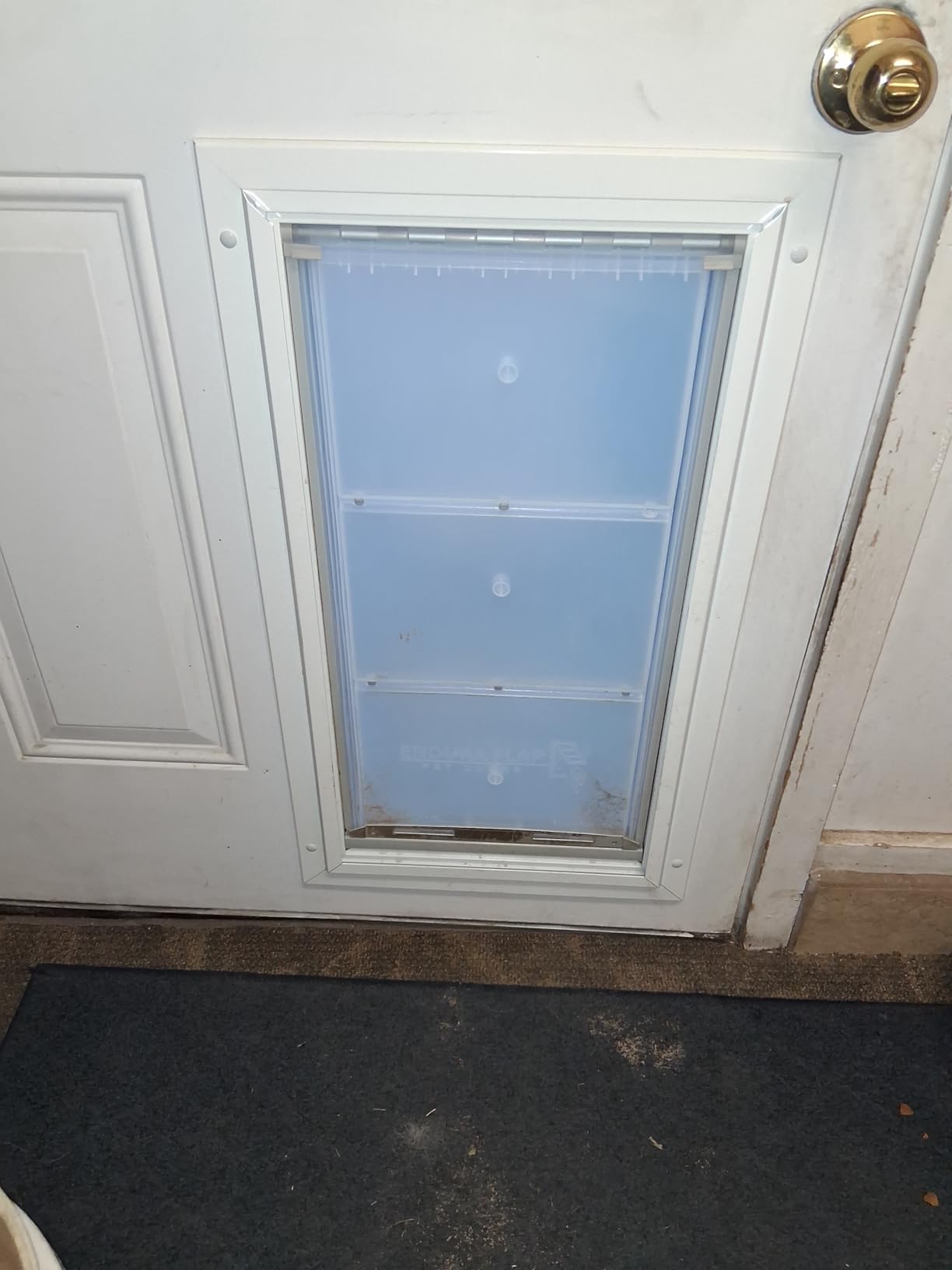 Endura Flap Double Flap Pet Door for Door Installations | Stylish for Interior & Exterior Doors | Durable Aluminum Frame & Weatherproof Dual-Layer Flap | White, Medium, Double Flap customer photo 1