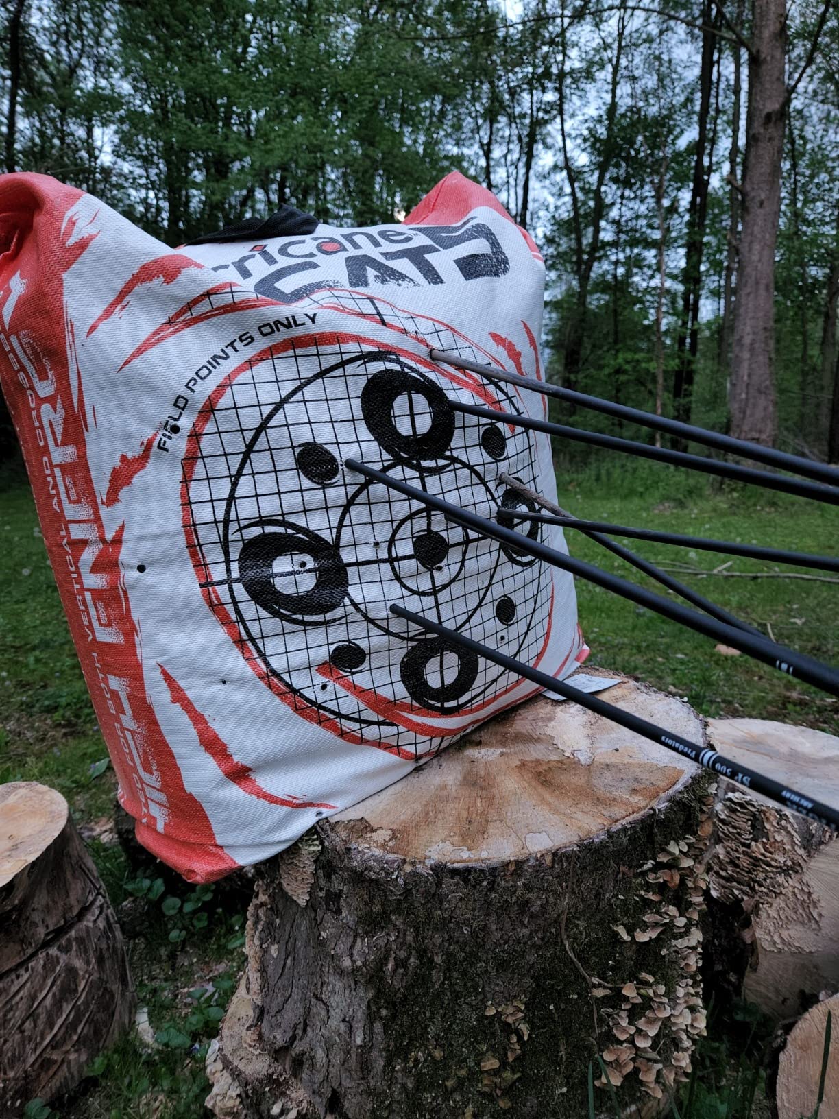 Bear Archery Cruzer G3 customer photo 1