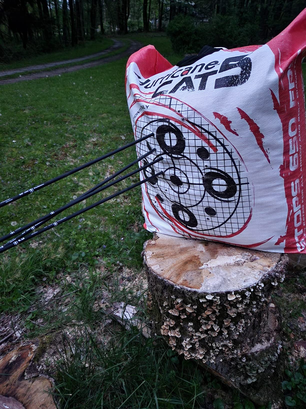 Bear Archery Cruzer G3 customer photo 2