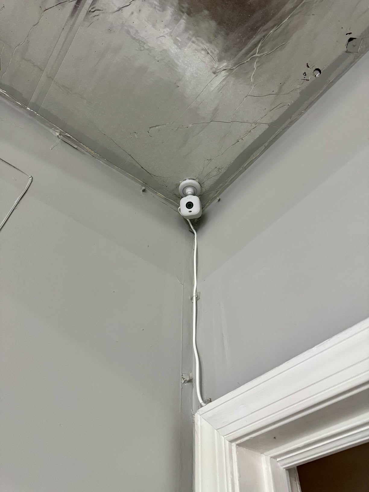 Blink Mini 2 - Home Security & Pet Camera with HD video, color night view, motion detection, two-way audio, and built-in spotlight - 1 camera (White) customer photo 2