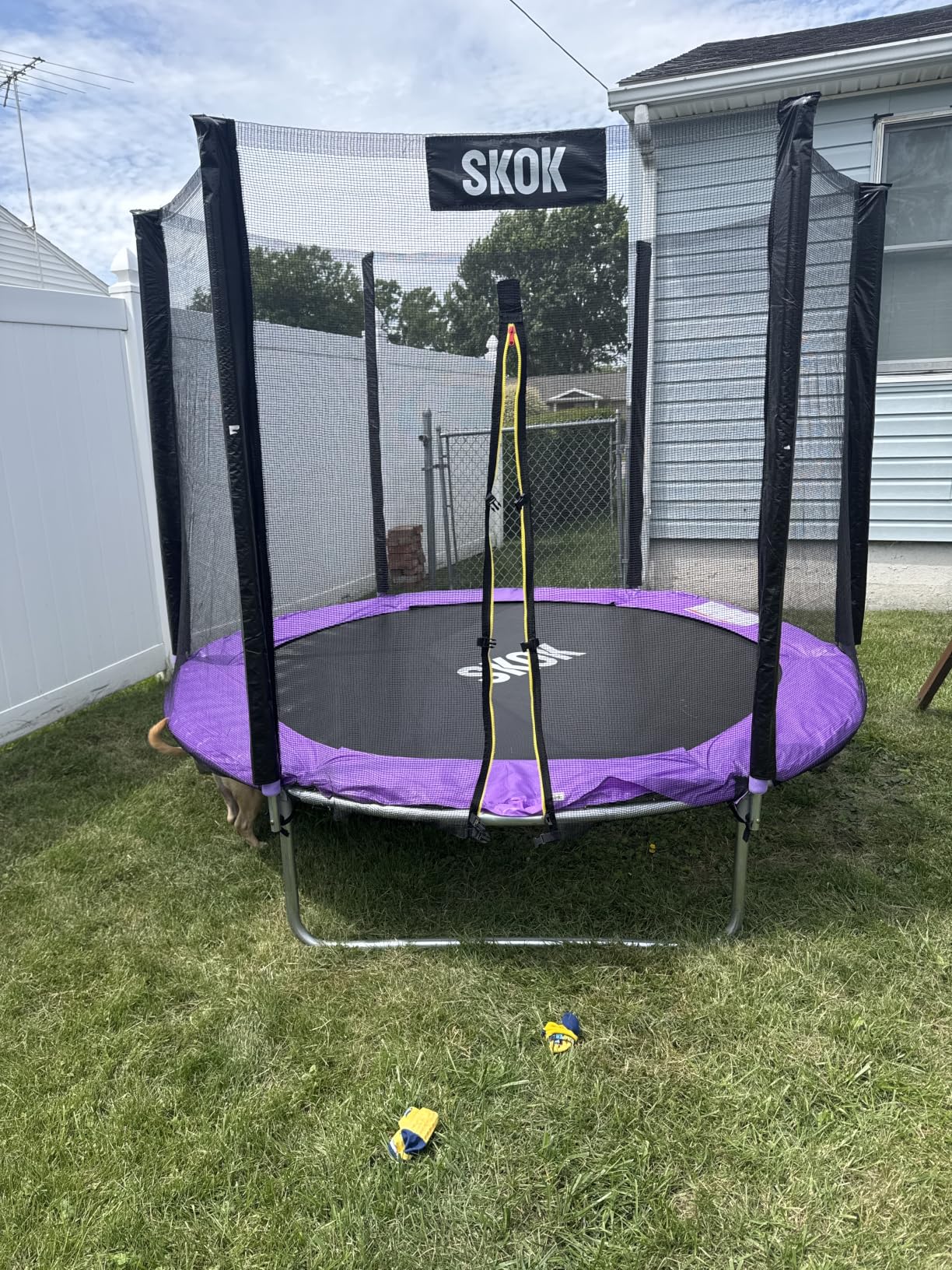 SKOK Trampoline for Kids, 400LBS Outdoor Trampoline with Net, ASTM Approved Trampoline for Children and Adults customer photo 2