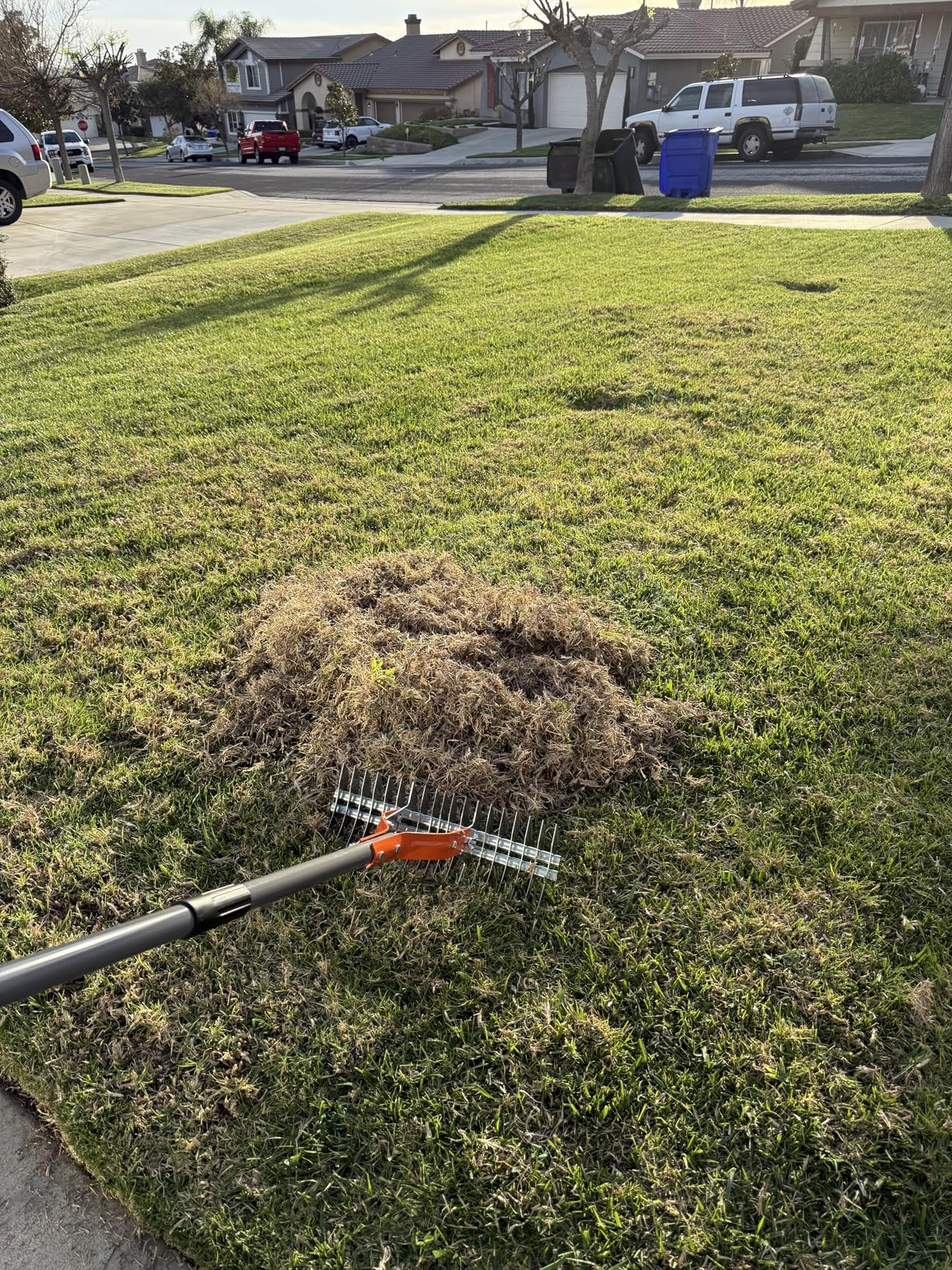 Walensee Thatch Rake for Lawn, 15-Inch Dethatcher Rake with Adjustable Sectional Handle, Heavy Duty Steel Lawn Rake for Removing Dead Grass, Efficient Grass Dethatching Tool for Yard and Garden customer photo 1