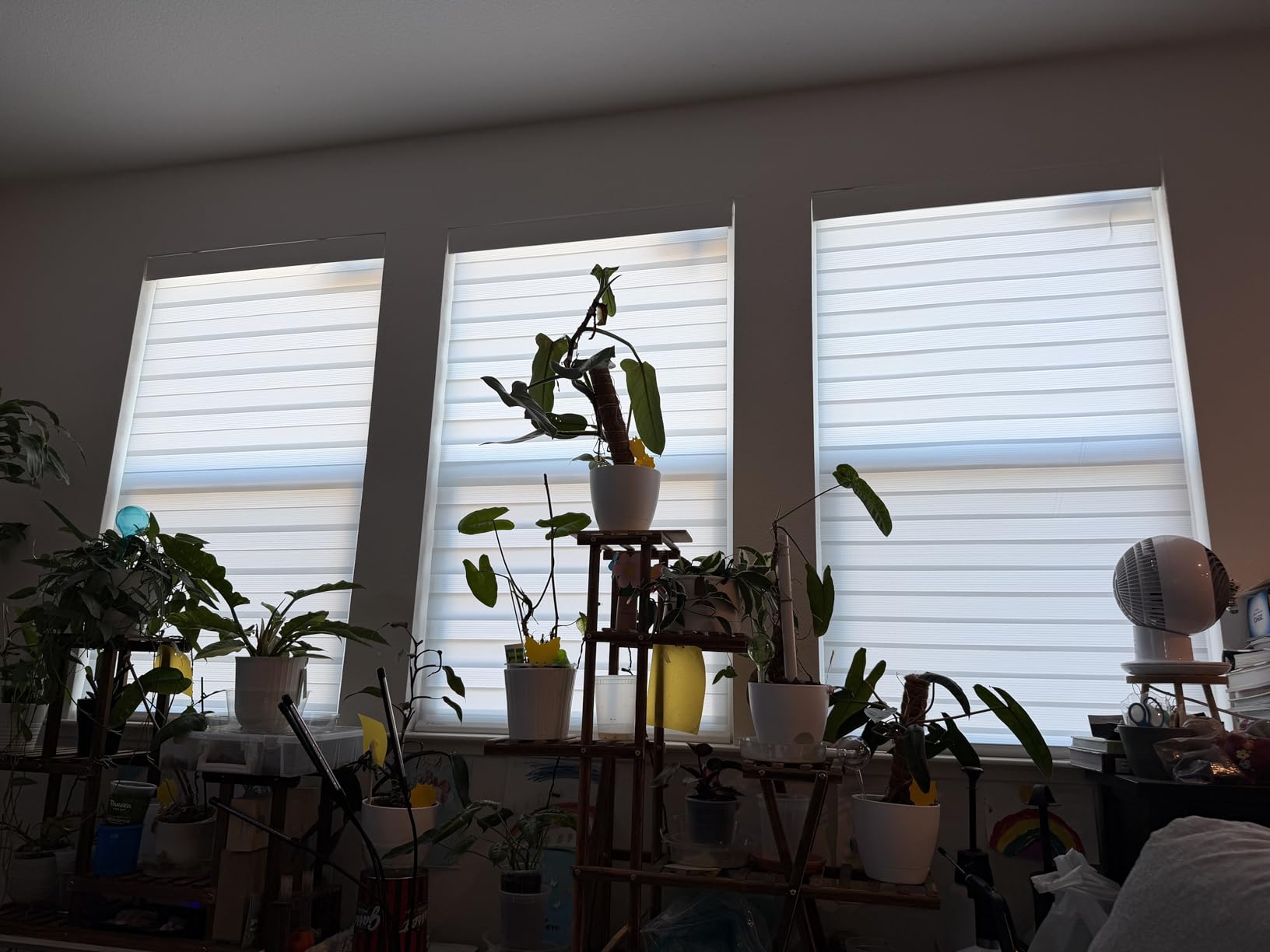 DENFOON Motorized Zebra Blinds, Solar Powered Dual Layer Automatic Shades with Remote Control, Rechargeable Smart Blinds Horizontal Wireless Electric Shades for Windows. White, 35 x 72 customer photo 1