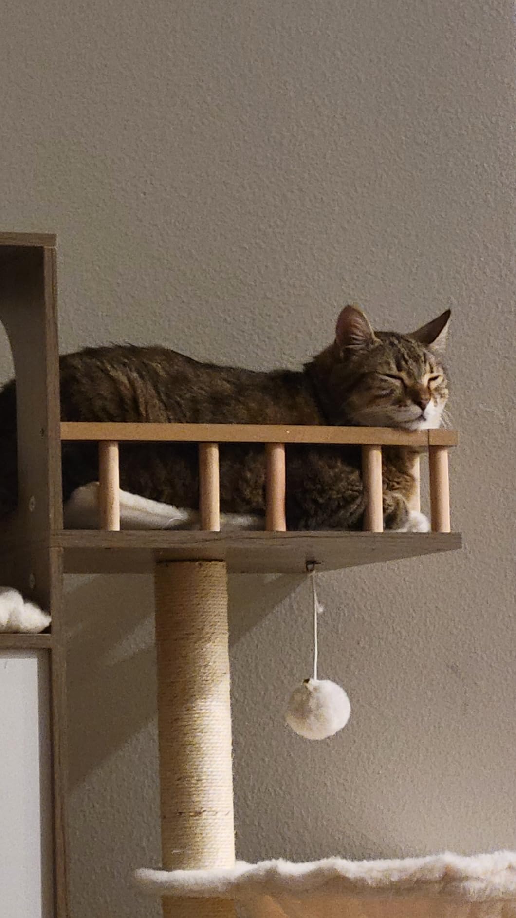 Heybly Cat Tree with Litter Box Enclosure for Indoor Big Cat, Cat Tower for Large Cats 20lbs Heavy Duty, Modern Cat Condo Furniture with Scratching Posts, Rustic Gray customer photo 1