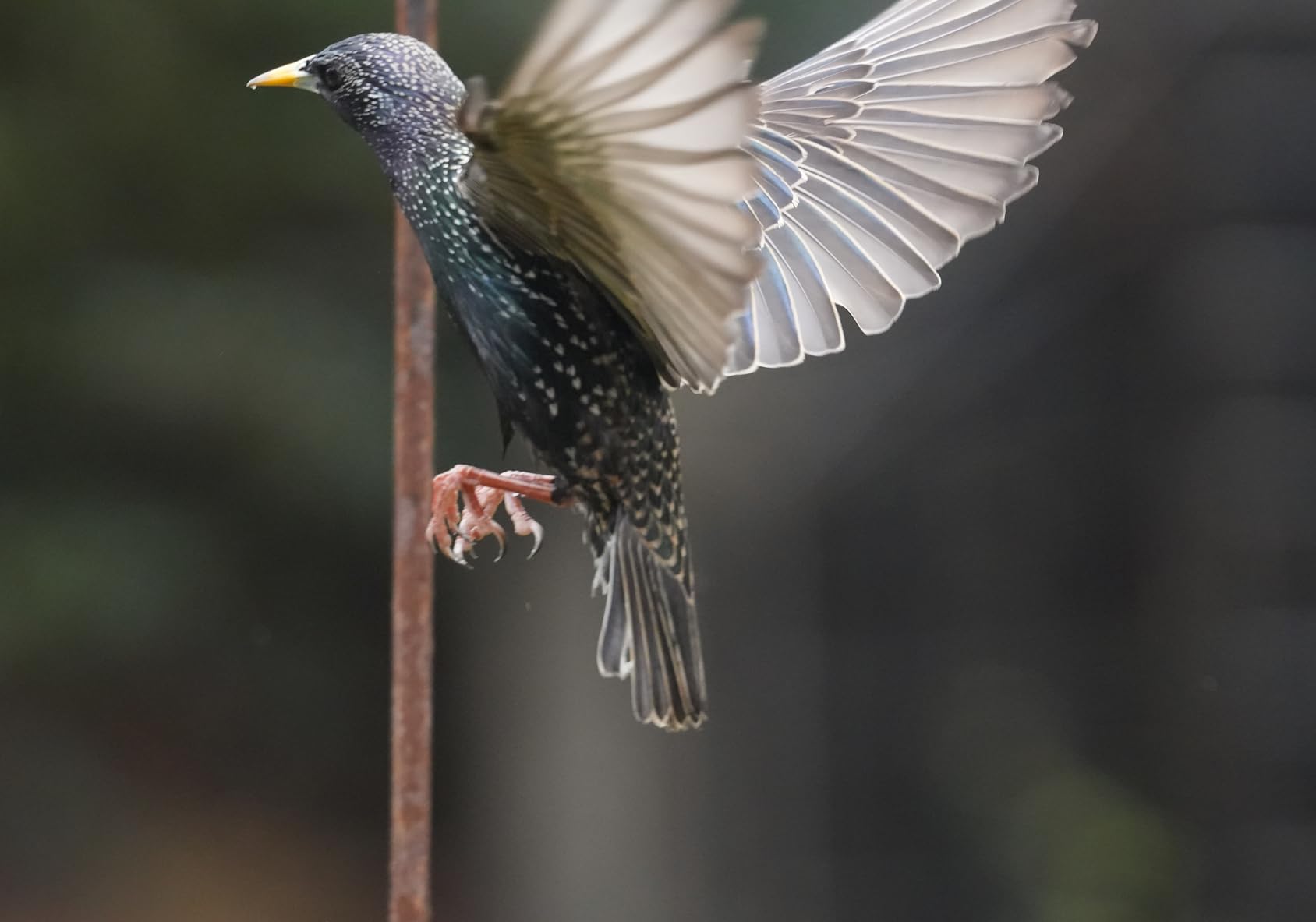 Tamron 70-180mm F/2.8 Di III VC VXD G2 for Sony E-Mount customer photo 2