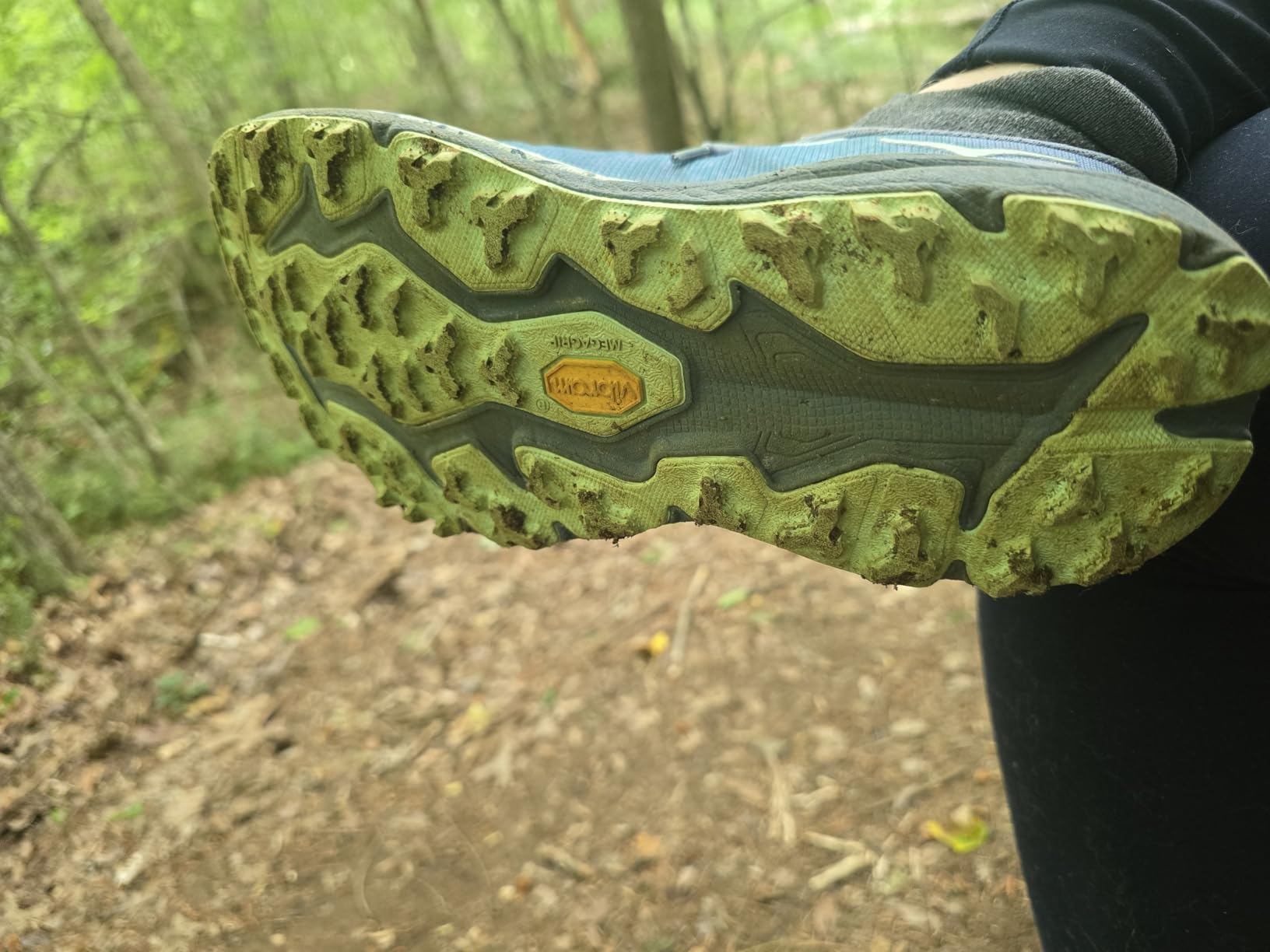 HOKA ONE ONE Women's Speedgoat 6 customer photo 1
