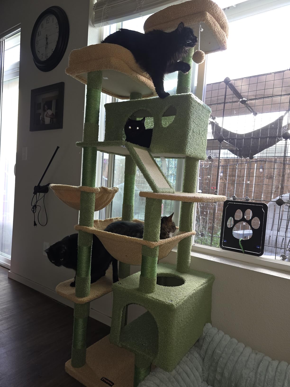 Taoqimiao Cactus Cat Tree, 71-Inch Cat Tower for Indoor Cats Large Adult, Multi-Level Large Cat Condo, 8 Sisal Scratching Posts, Metal Frame Cozy Hammock, Scratch Board, 2 Top Perches, MSC026L customer photo 1