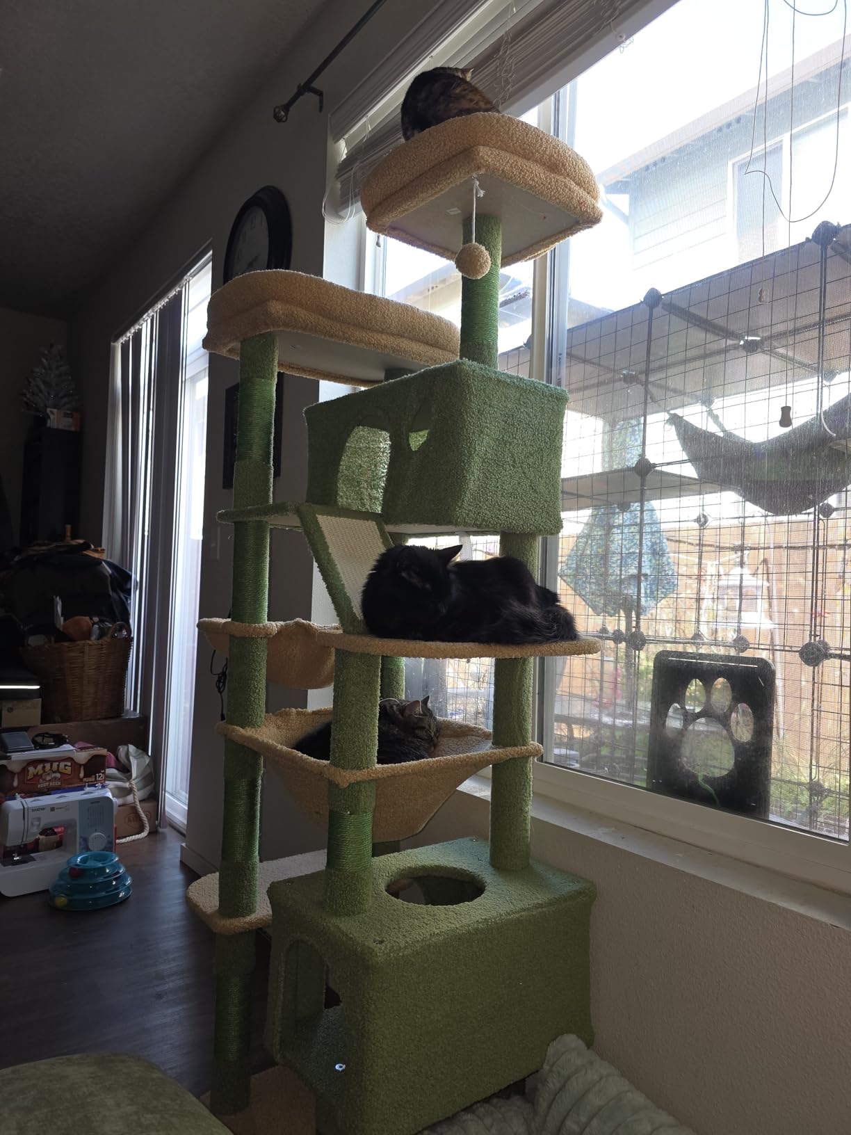 Taoqimiao Cactus Cat Tree, 71-Inch Cat Tower for Indoor Cats Large Adult, Multi-Level Large Cat Condo, 8 Sisal Scratching Posts, Metal Frame Cozy Hammock, Scratch Board, 2 Top Perches, MSC026L customer photo 2