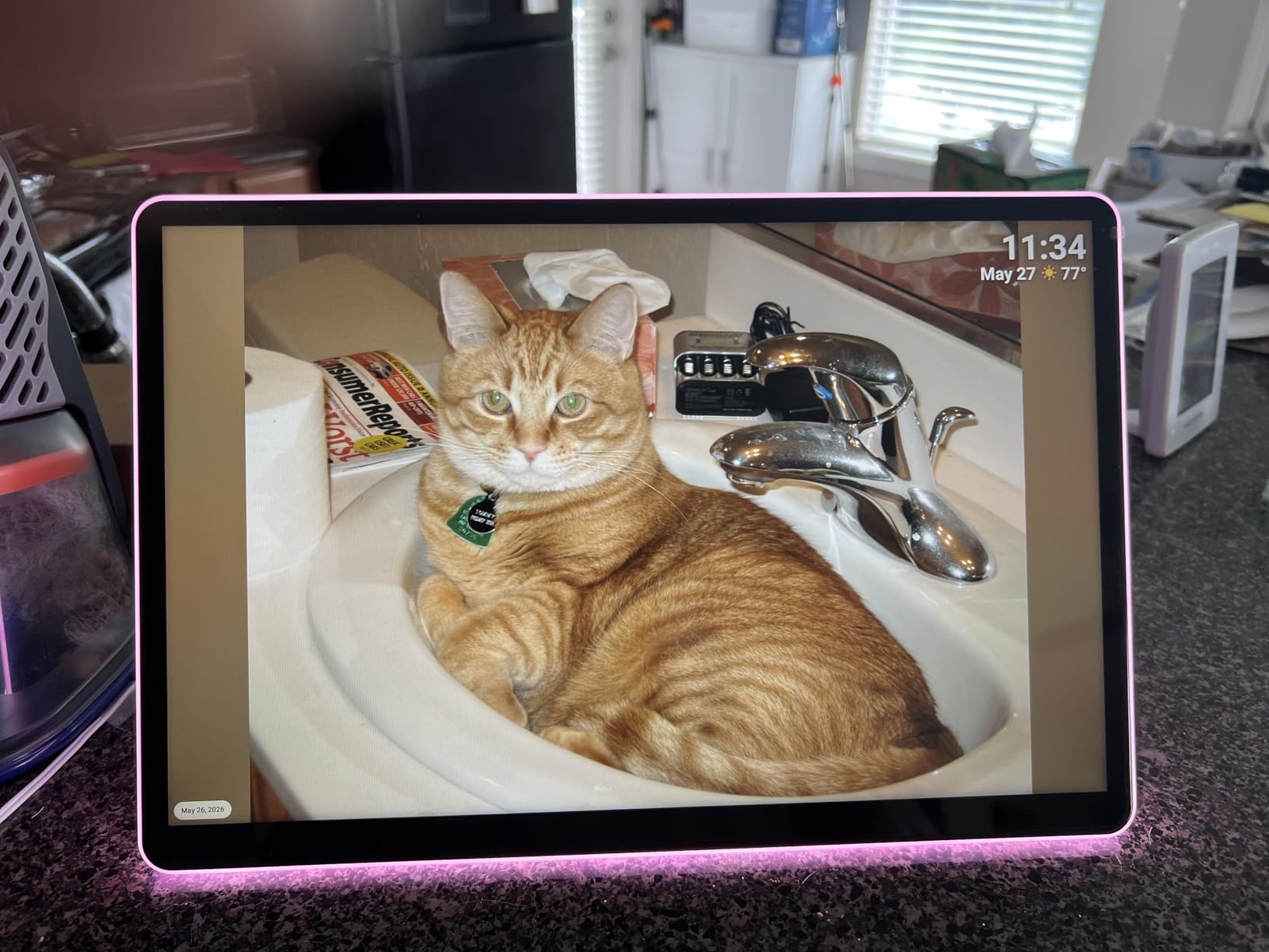 ApoloSign Neon Light Digital Picture Frame, Desk Digital Calendar, Auto-synced Schedule via Frameo App - 10.1